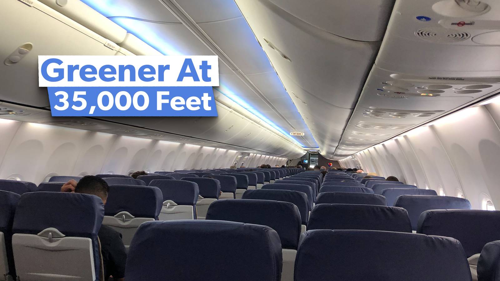 Why Future Airplane Seats Will Be Made From Bio Plastics