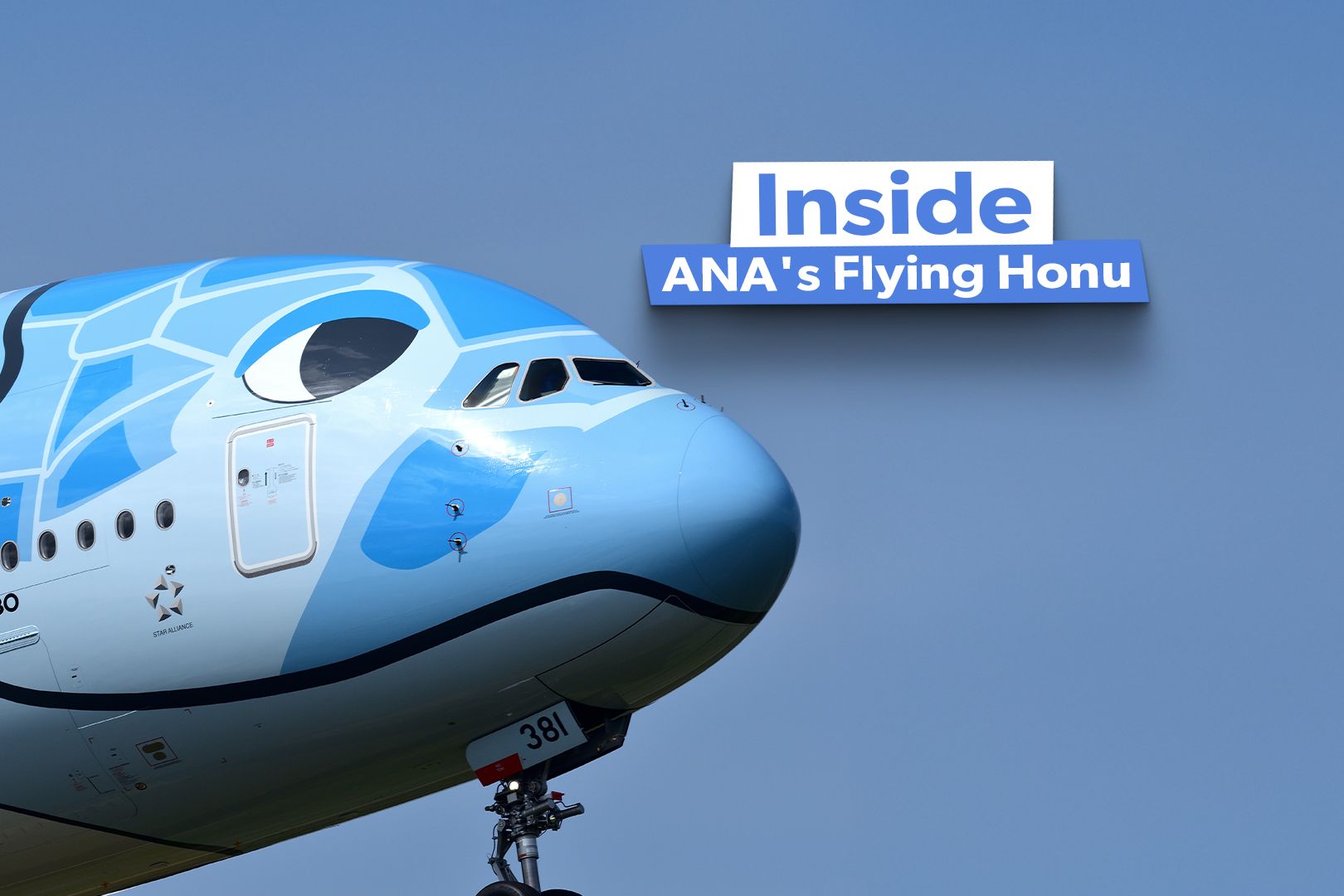 What's Inside The ANA Flying Honu Airbus A380s?
