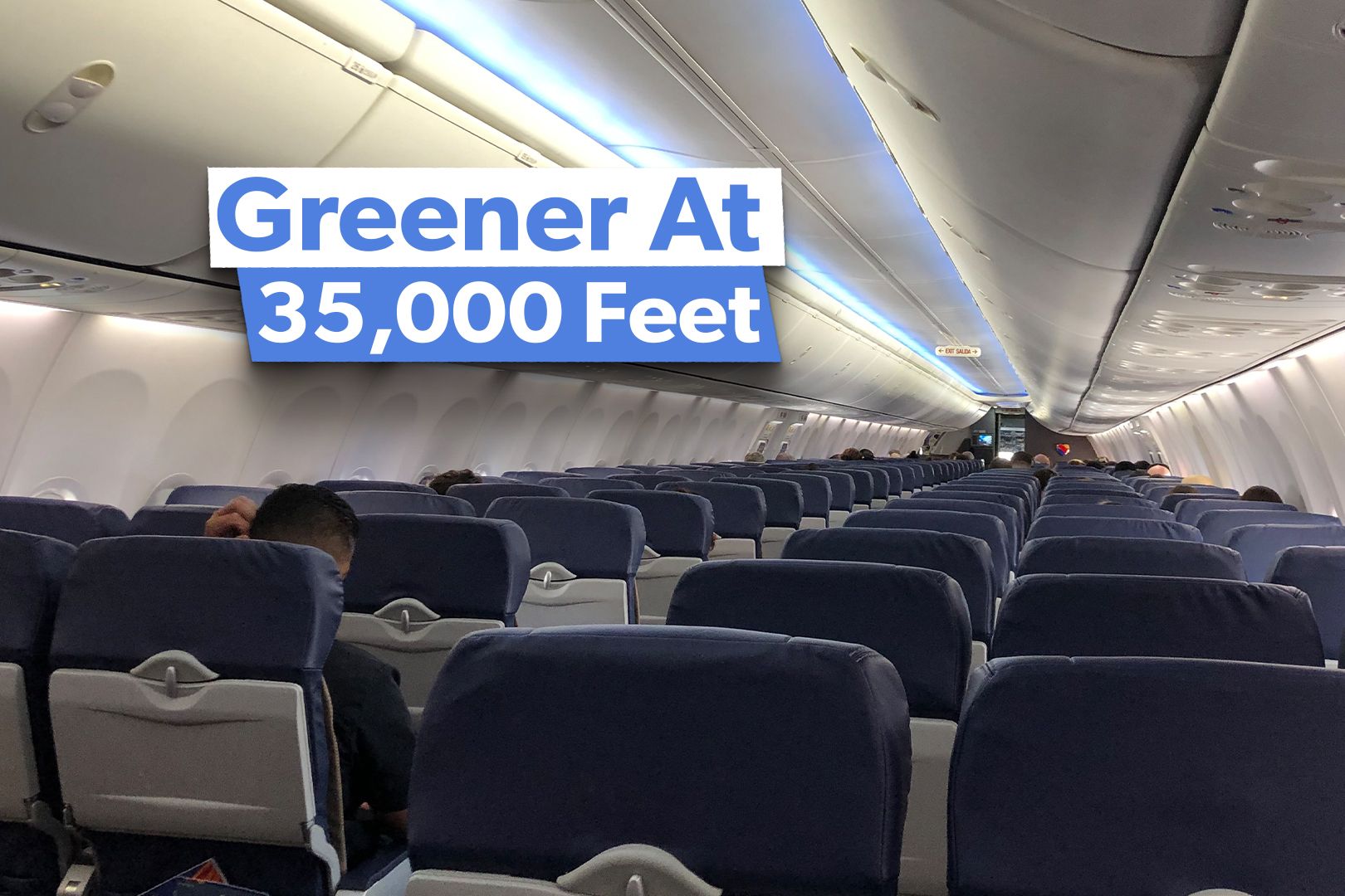 Why Future Airplane Seats Will Be Made From Bioplastics