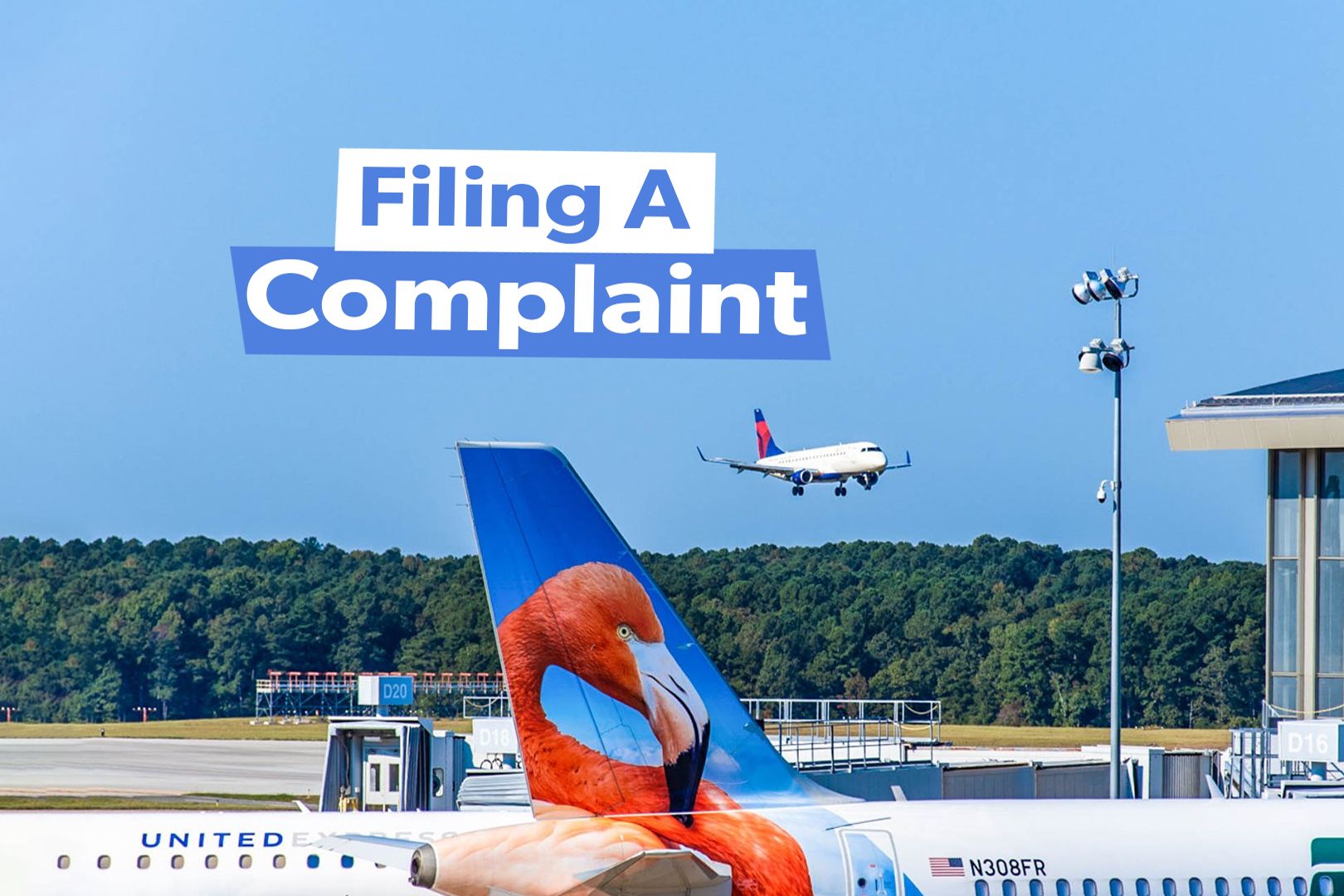 The DOT’s Rules When It Comes To Complaining About An Airline