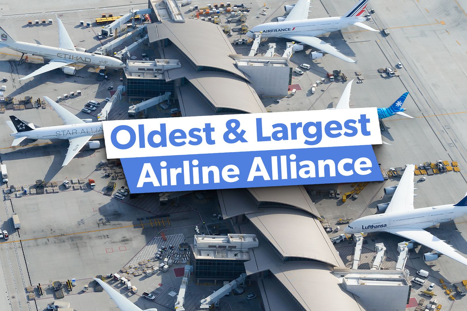 Oldest Airline Alliance Custom Thumbnail