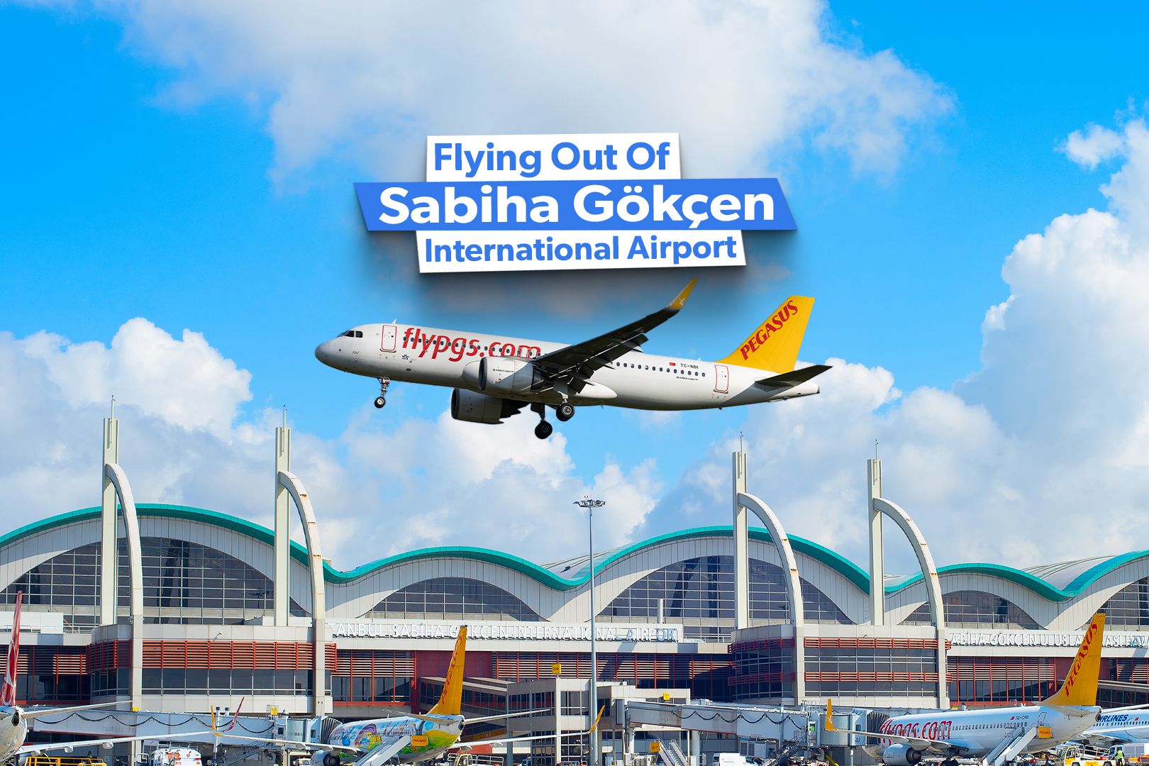 Artboard 2 3_2 (6)-3