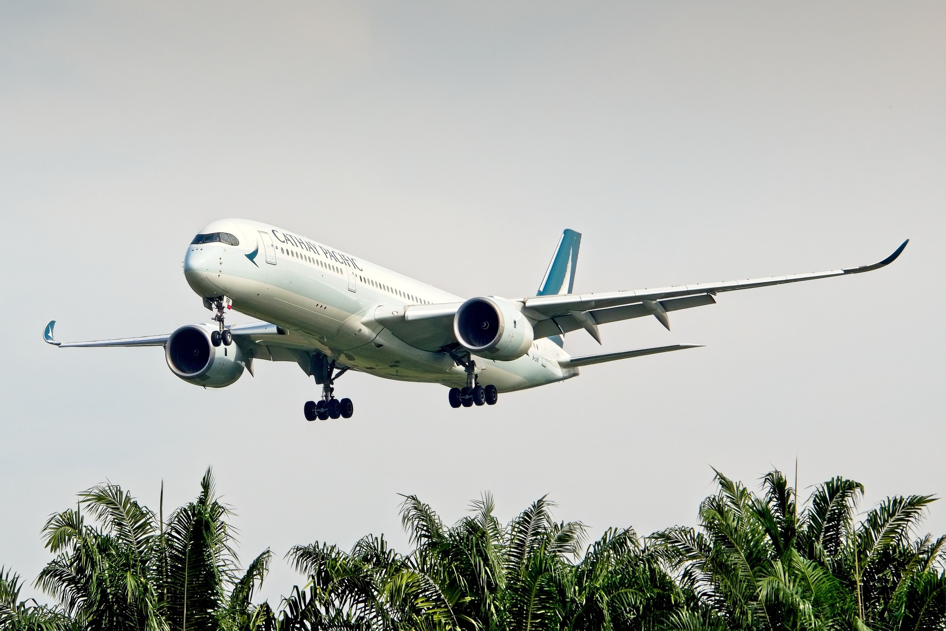 Cathay Pacific's 11 Longest Airbus A350 Routes From Hong Kong