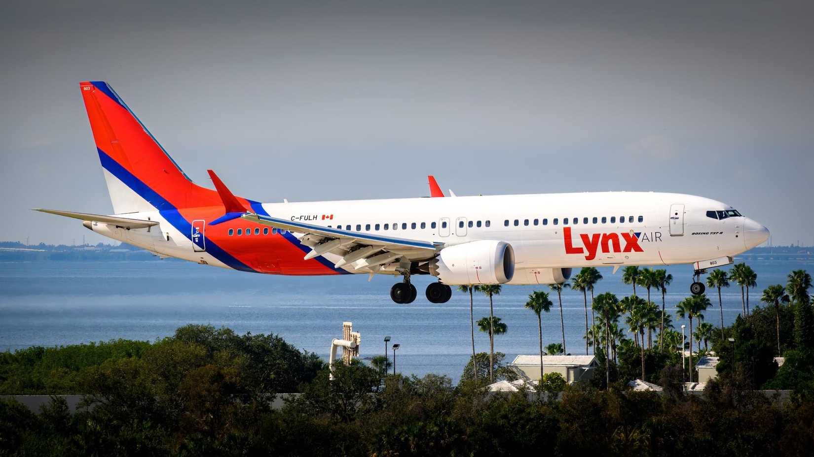 Linex Air What Are The Learnings From Lynx Air's Collapse?