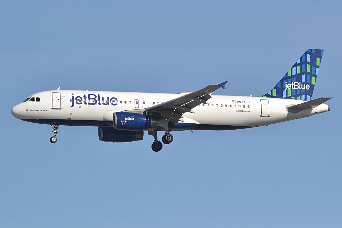 Bodies Of JetBlue Stowaways Were Already Decomposed When Found