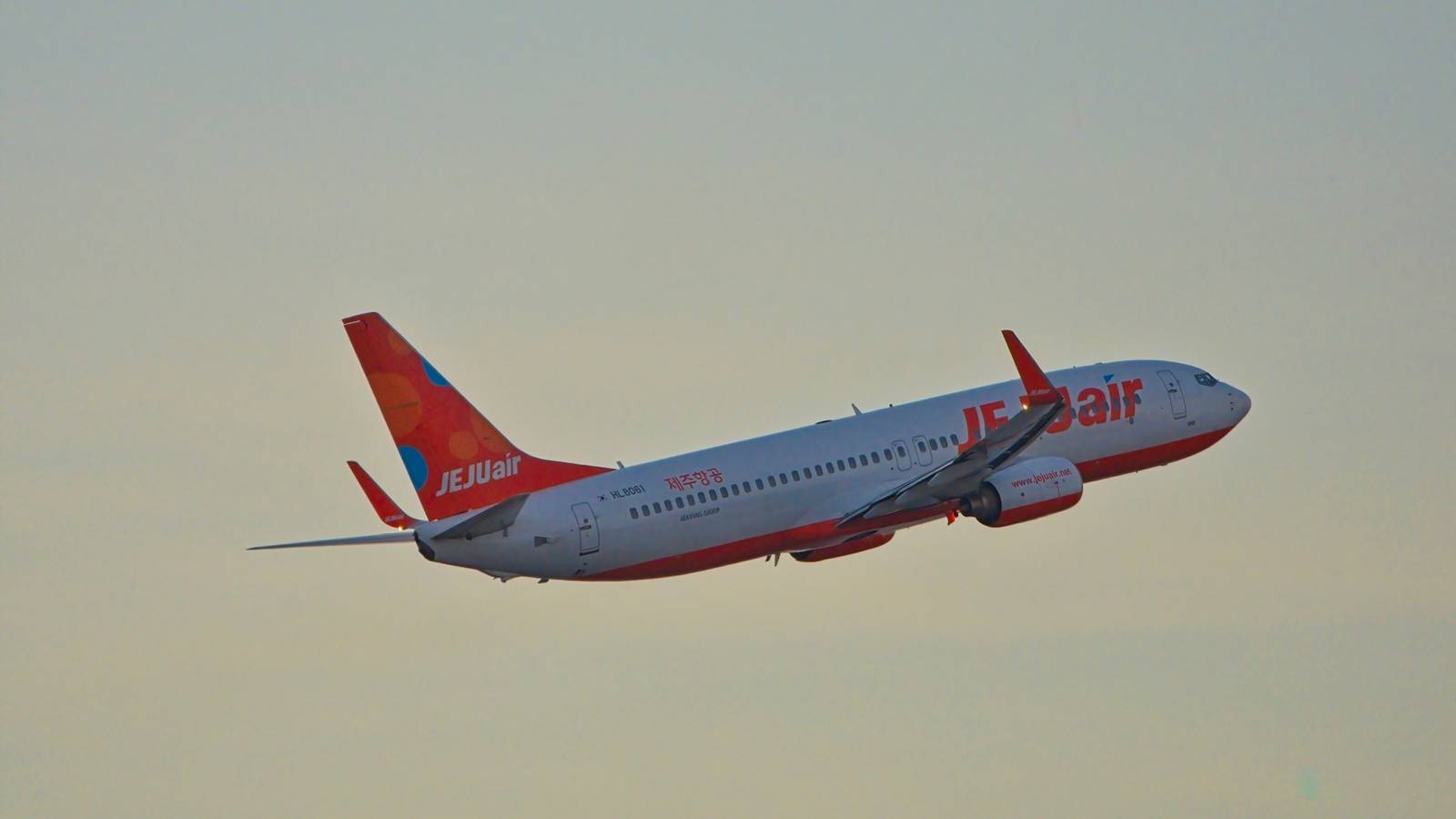 Jeju Air Crash: Police Raid Muan Airport On Charges Of Professional Negligence