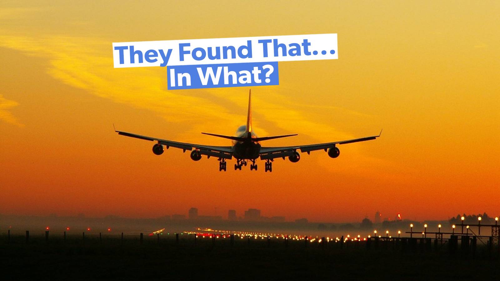 TSA's Top 10 Craziest Catches Of 2024
