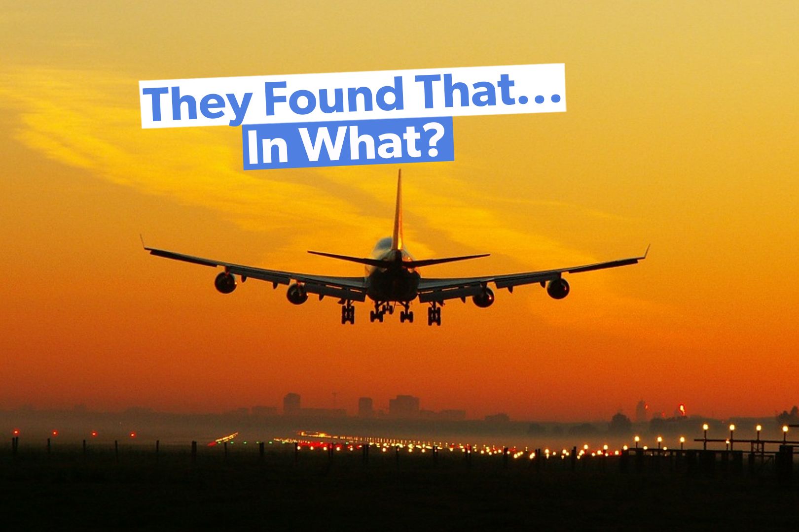 TSA's Top 10 Craziest Catches Of 2024