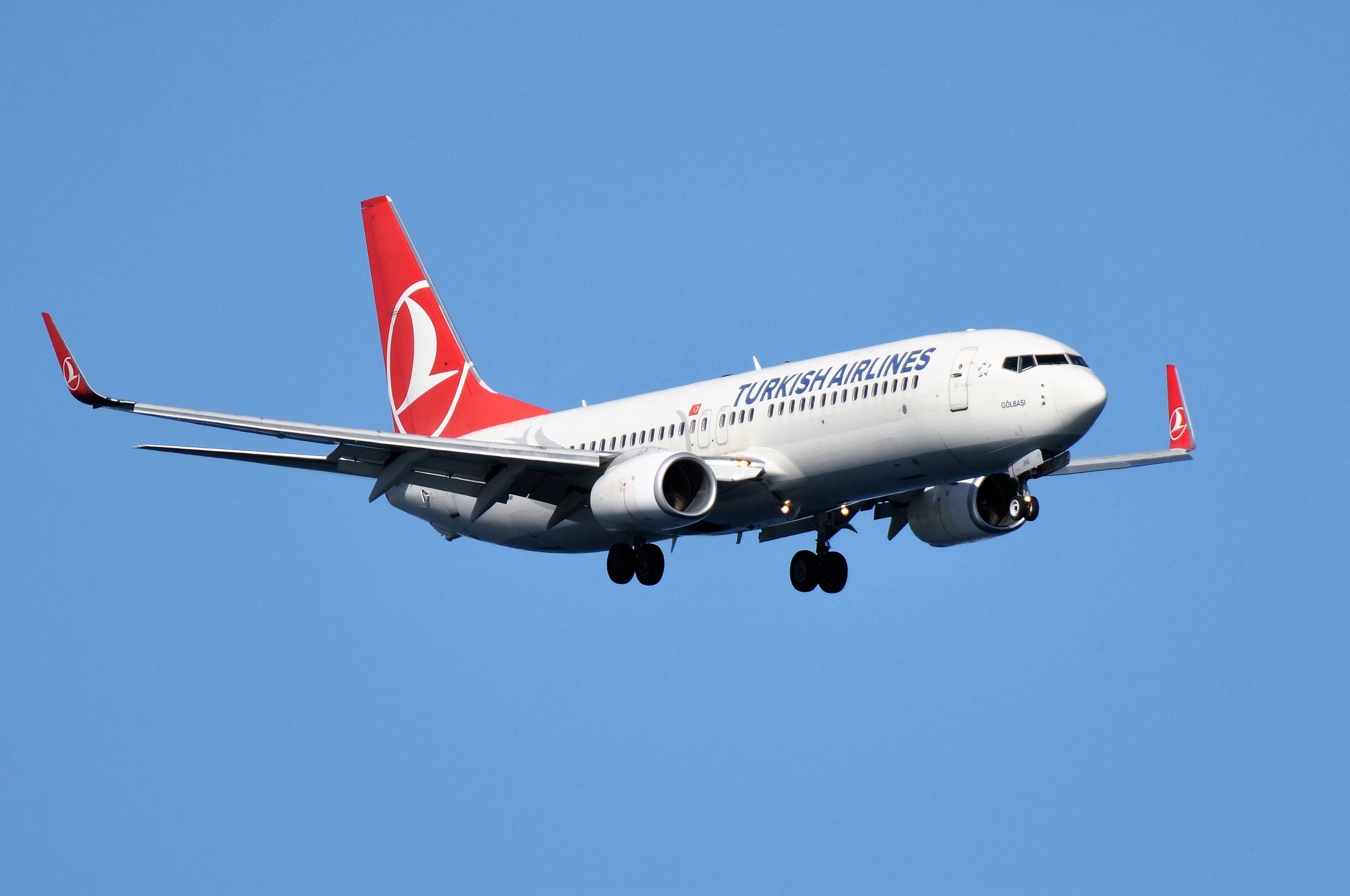 Turkish Airlines 737-800