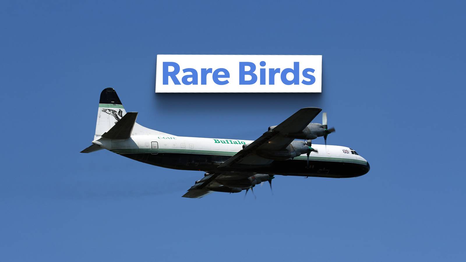 The 2 Remaining Lockheed L-188 Electra Aircraft Operators