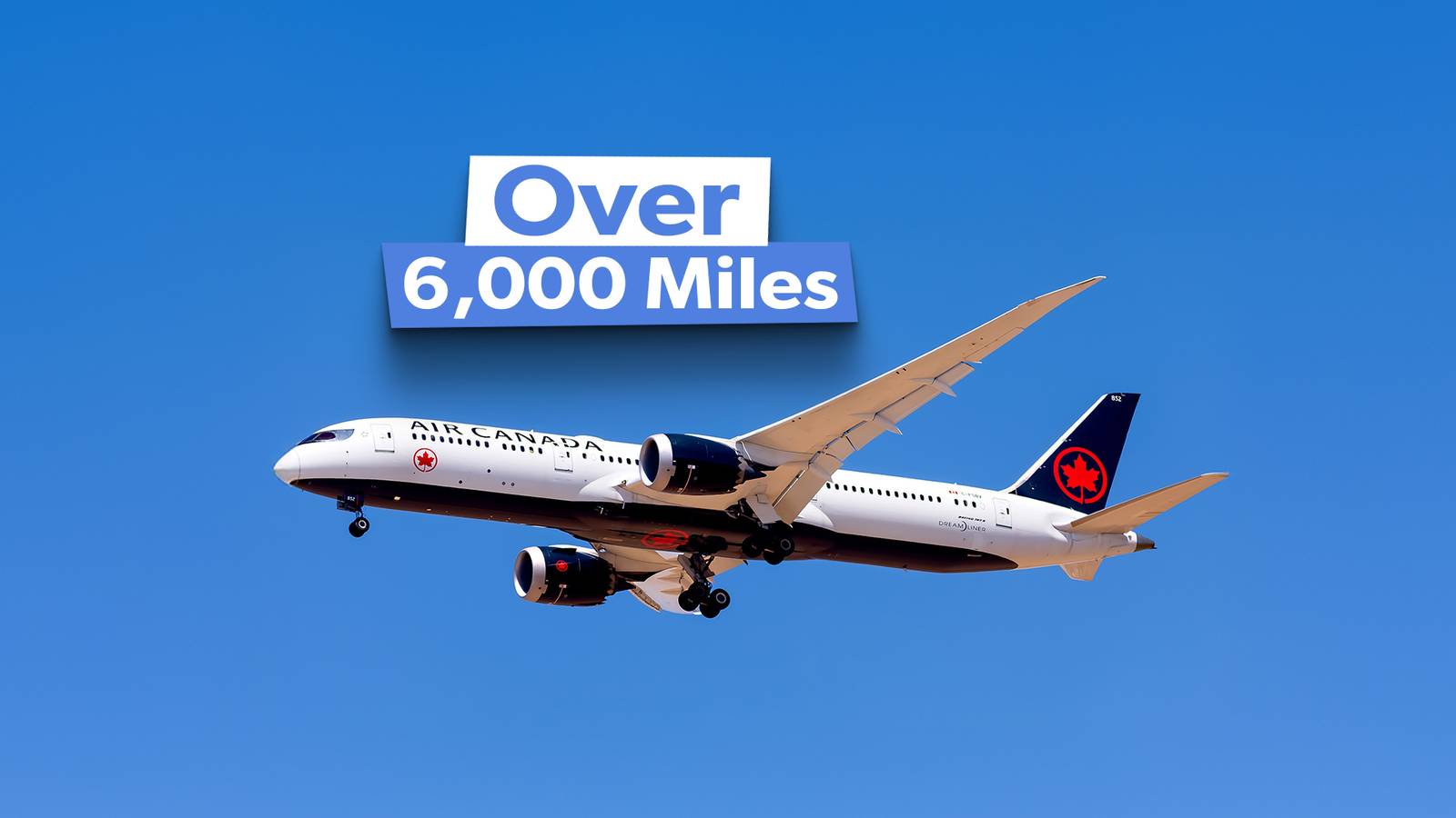 Air Canada's 10 Longest Routes: What To Expect Onboard