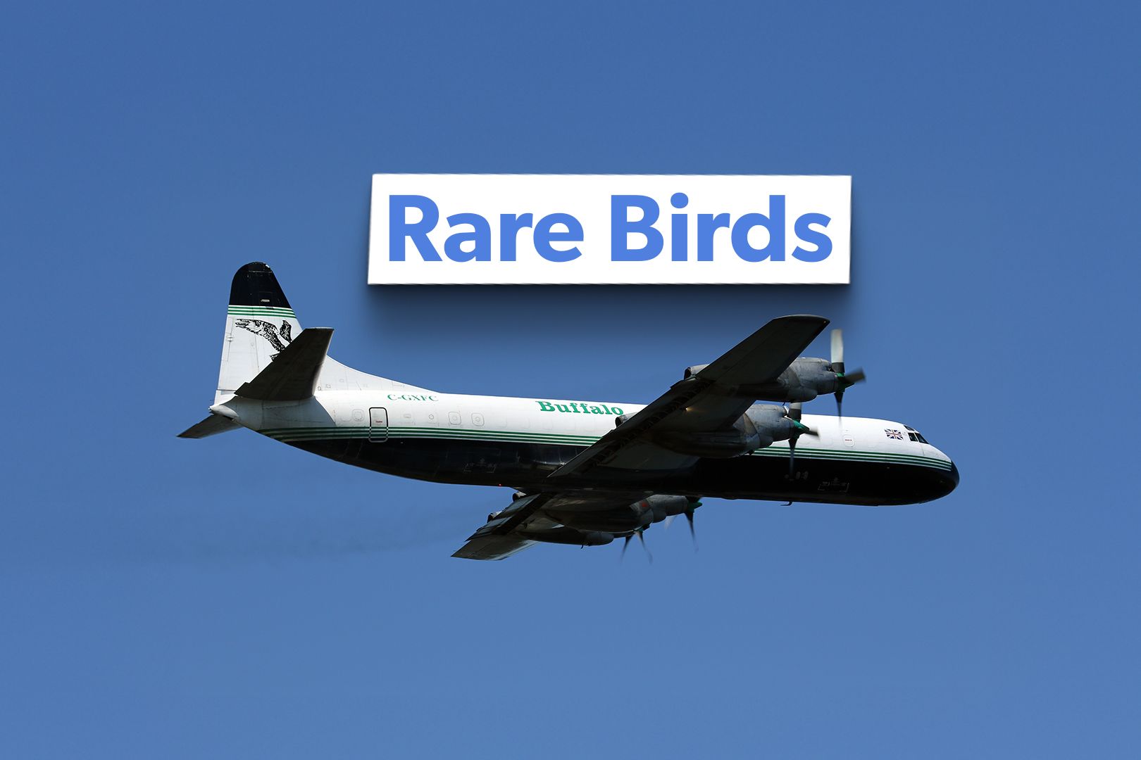 The 2 Remaining Lockheed L-188 Electra Aircraft Operators