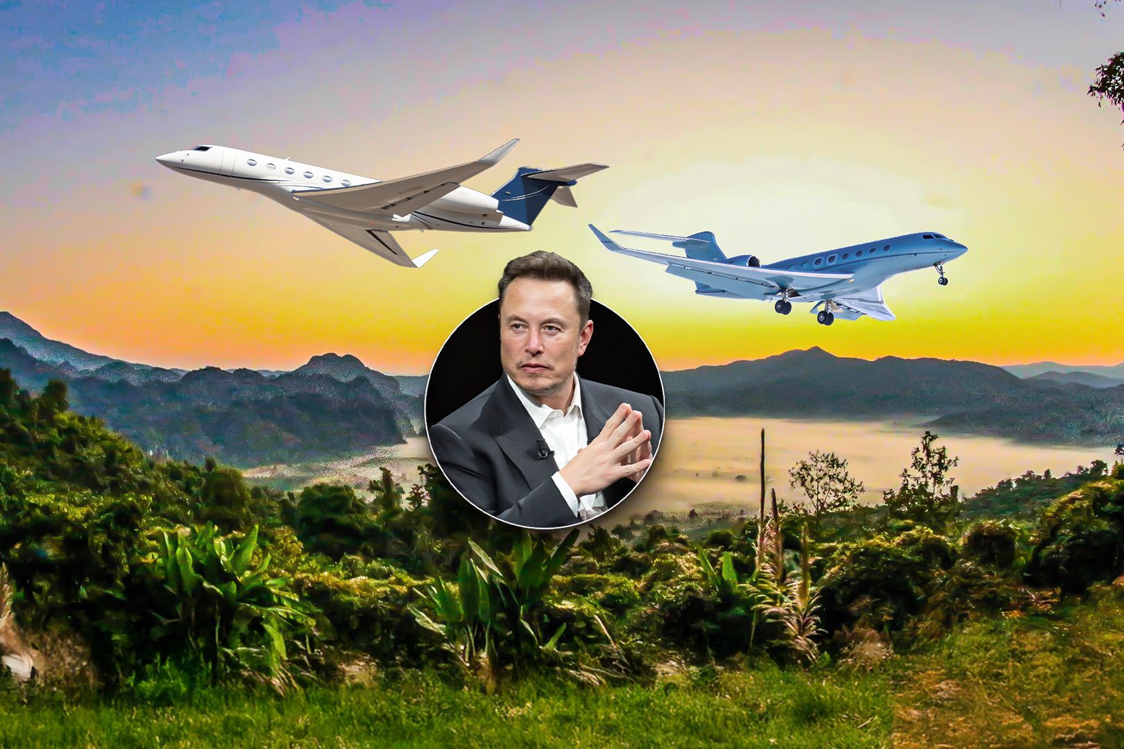 How Many Private Jets Does Elon Musk Own?