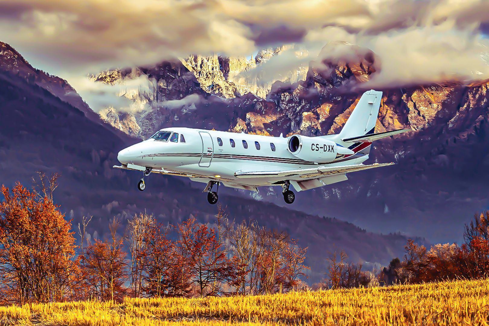 Artboard 2 3_2 (14)-2