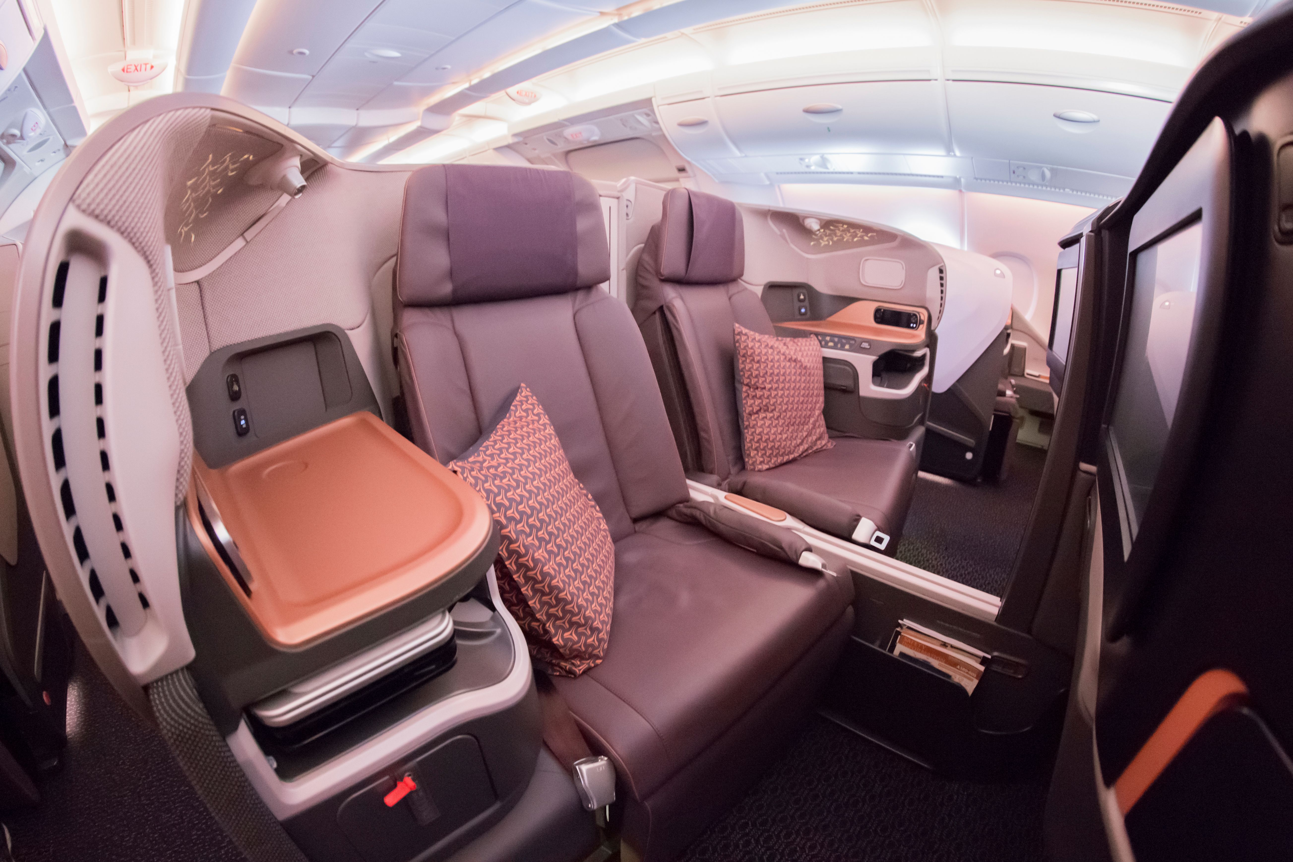 Spotted: Dalmatian Flies On Singapore Airlines Business Class To Japan