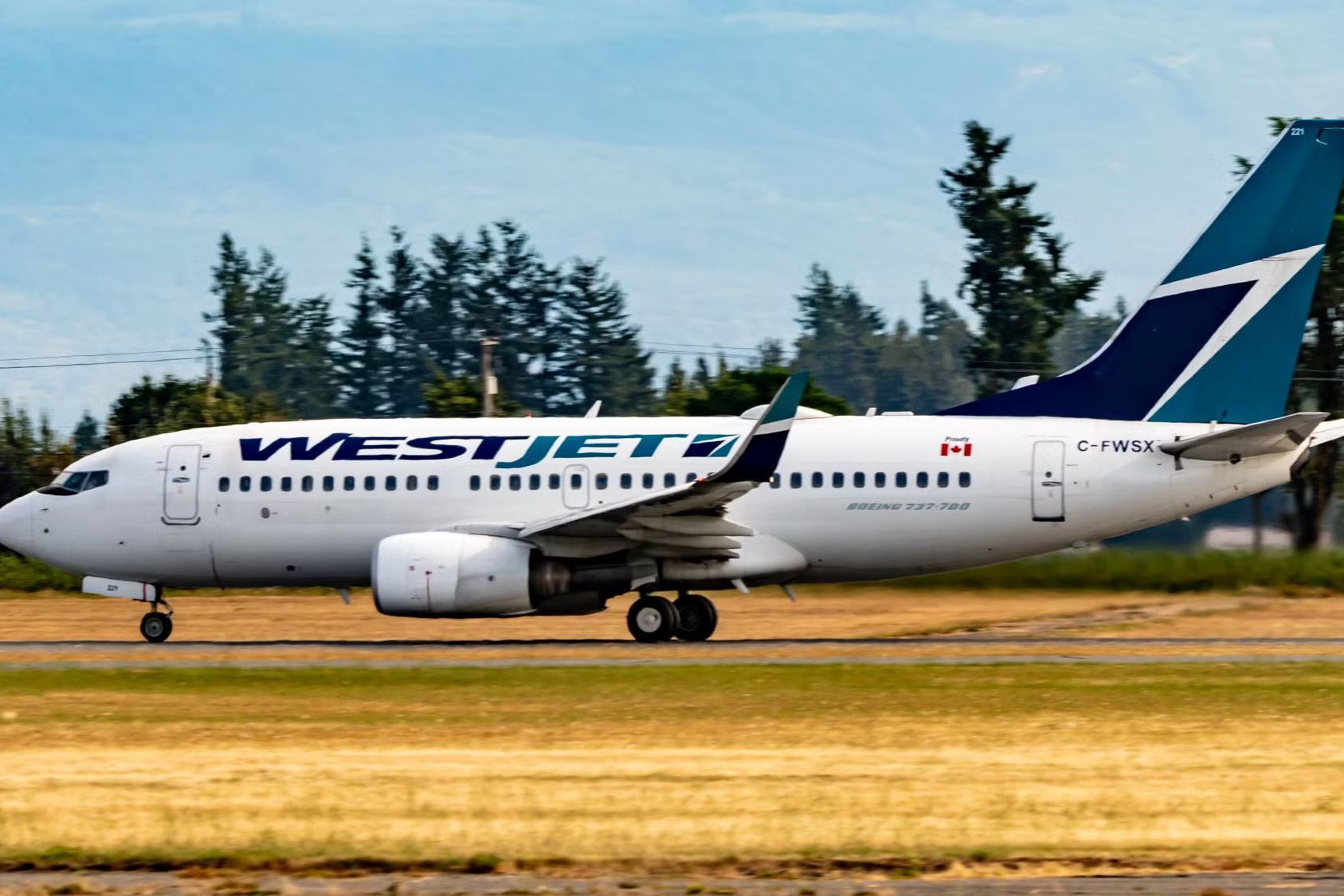 WestJet CEO Says Demand For Flights To US Have Dropped By 25% Since Trump Threatened Tariffs
