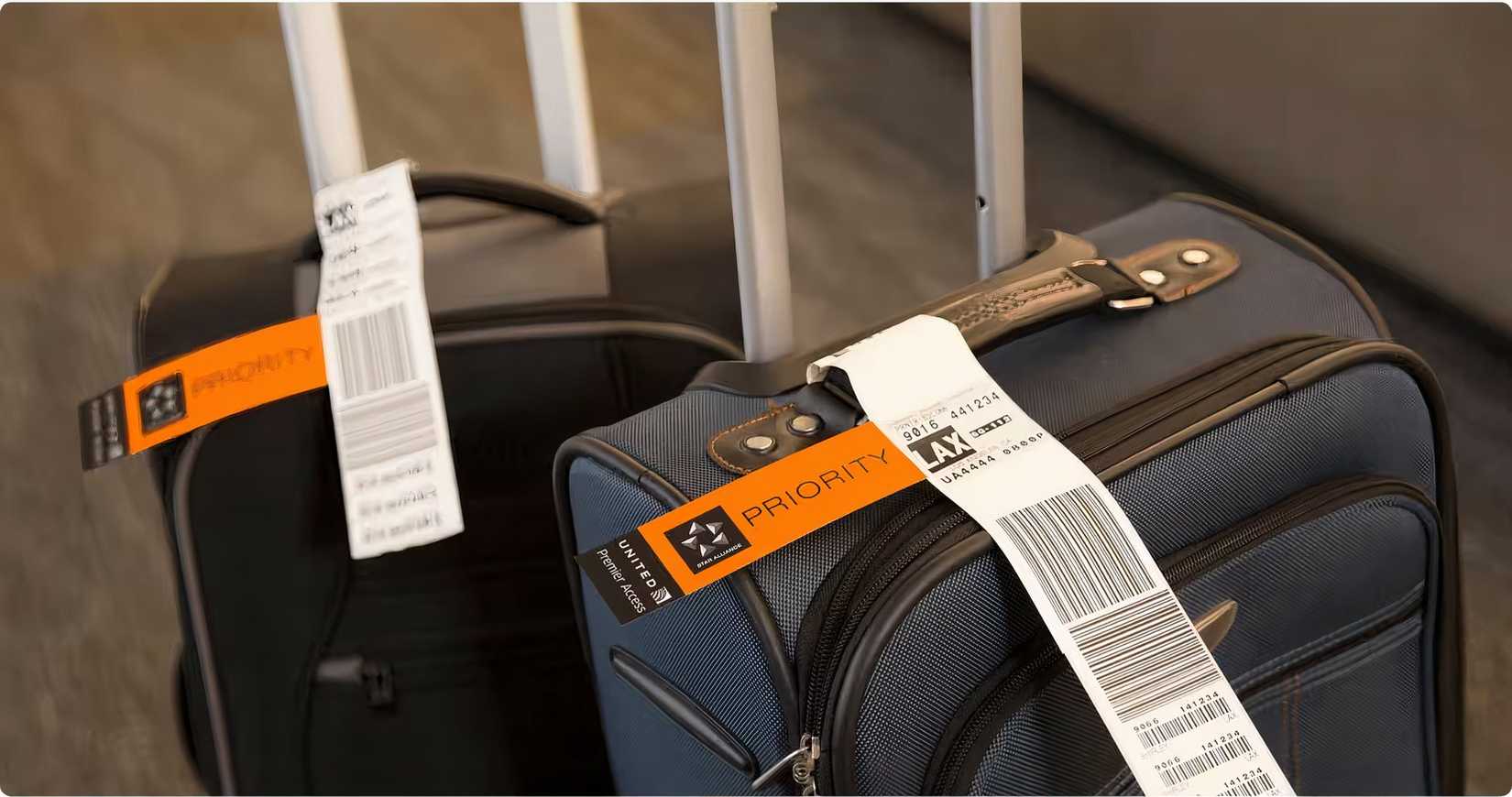 Luggage with premier access tags