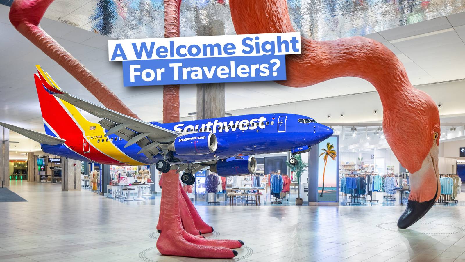 Why Some Airports Have Large Animals Inside Them