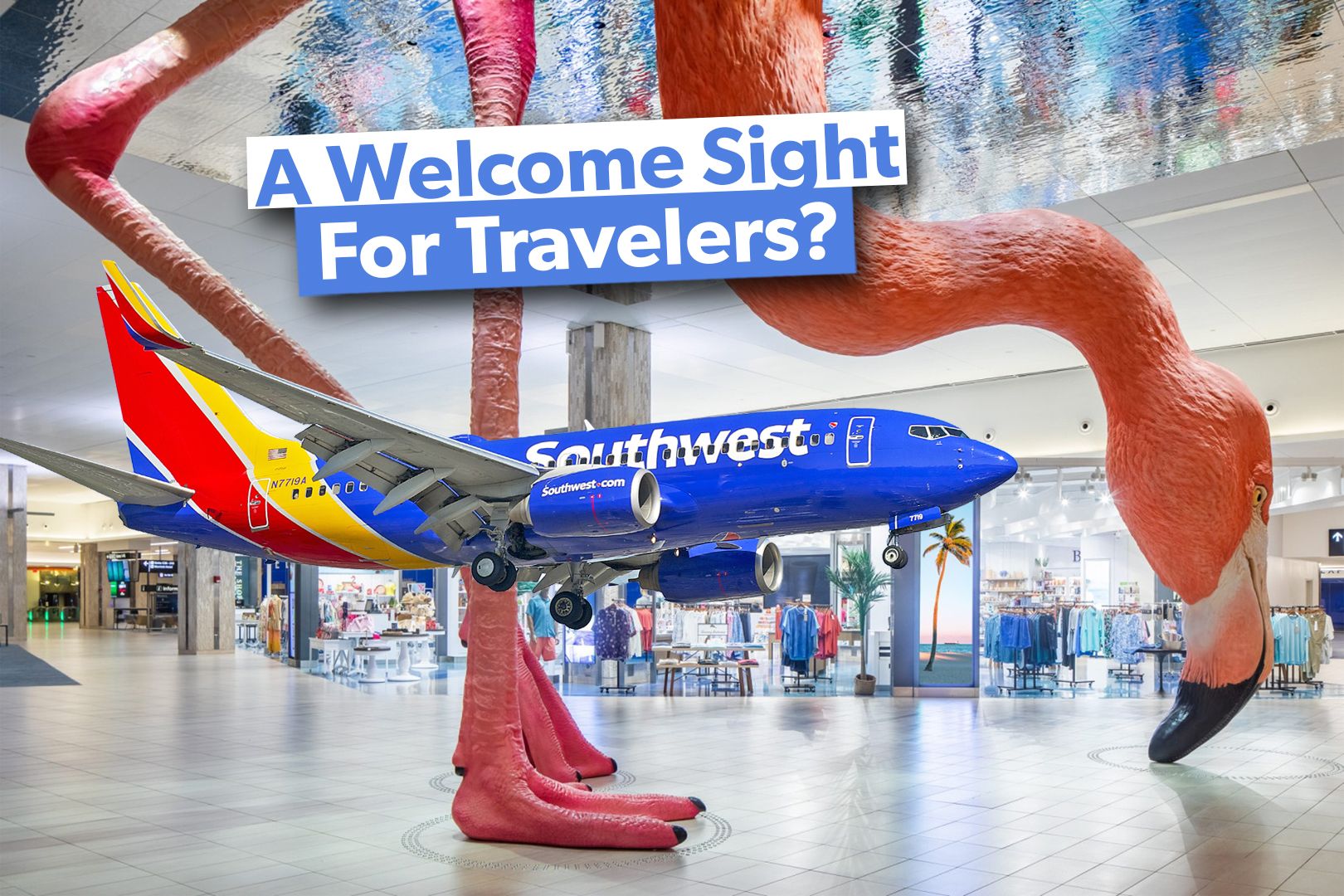 Why Some Airports Have Large Animals Inside Them