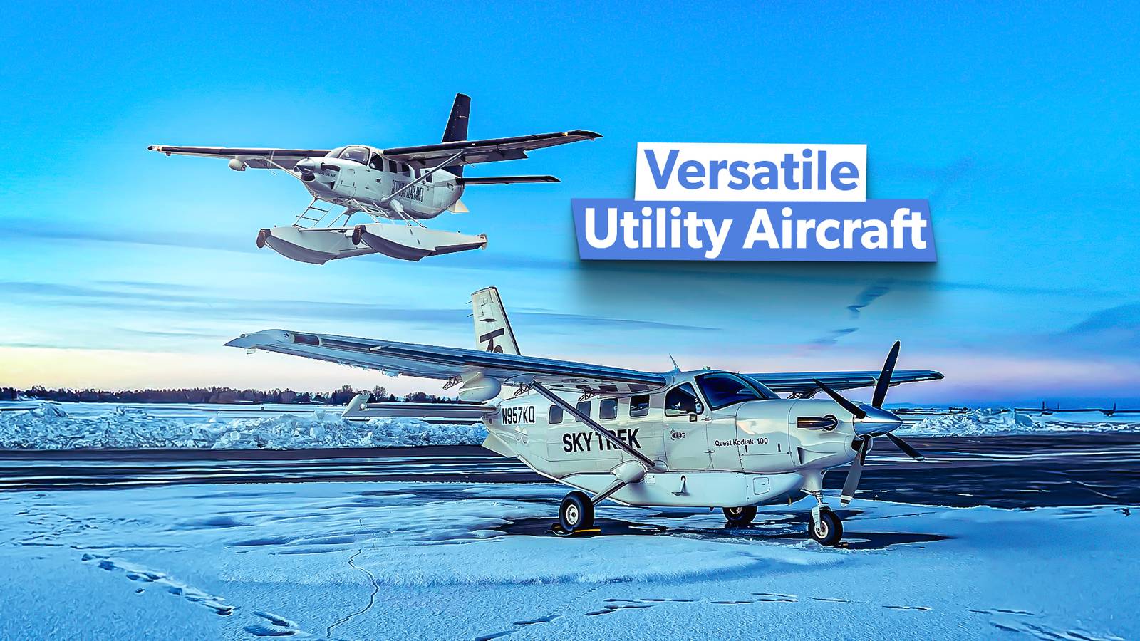 STOL Power: The Daher Kodiak Series
