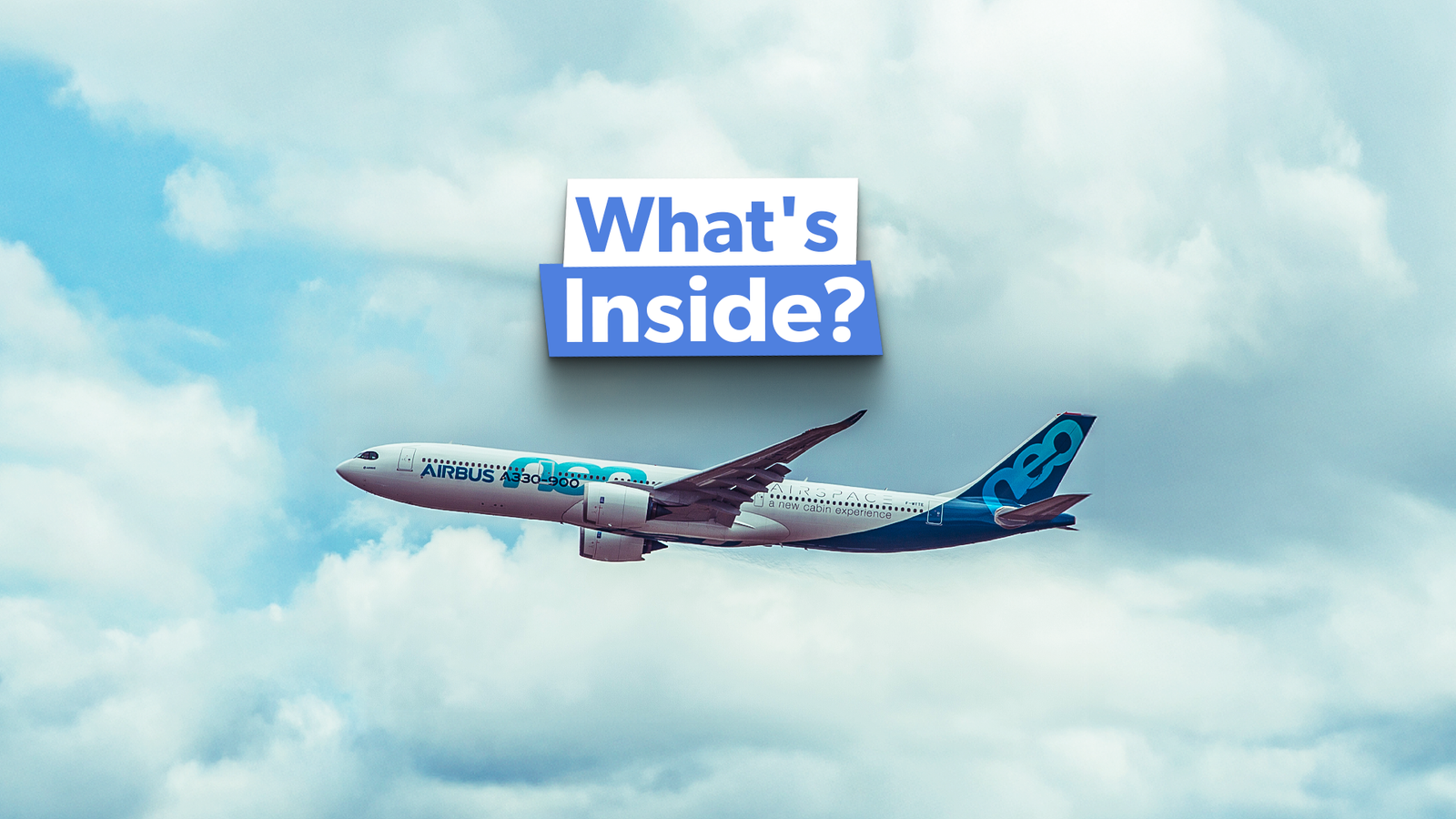 The 10 Airlines That Fly Airbus A330-900 Aircraft: Cabins Compared