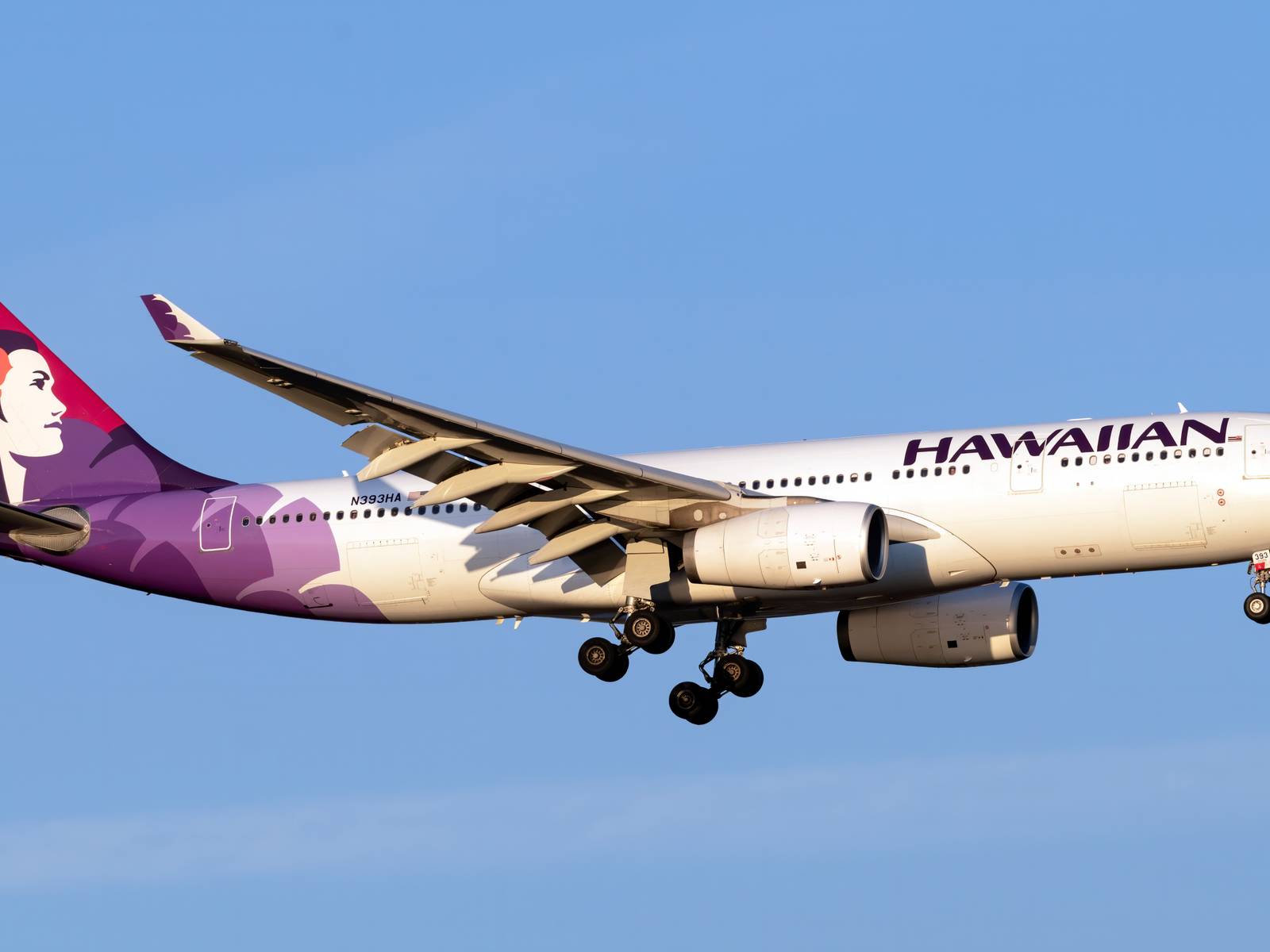 商談品‼️Hawaiian Airlines Airbus A330 1/200 Airbus A330-200 Commercial Aircraft 