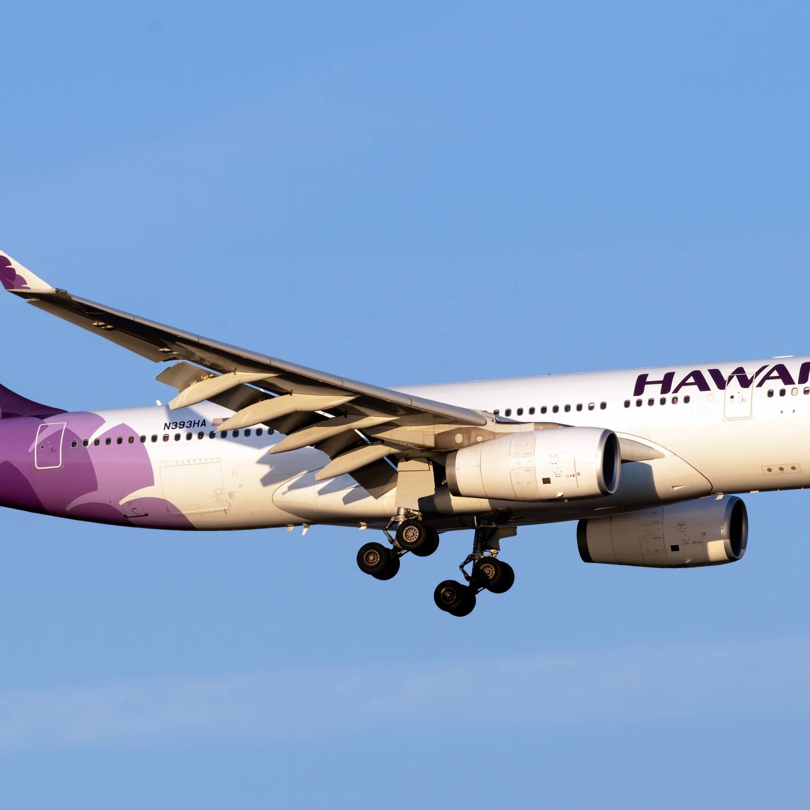 HAWAIIAN AIRLINES 毛布 グレー HAWAIIAN AIRLINES 毛布 グレー