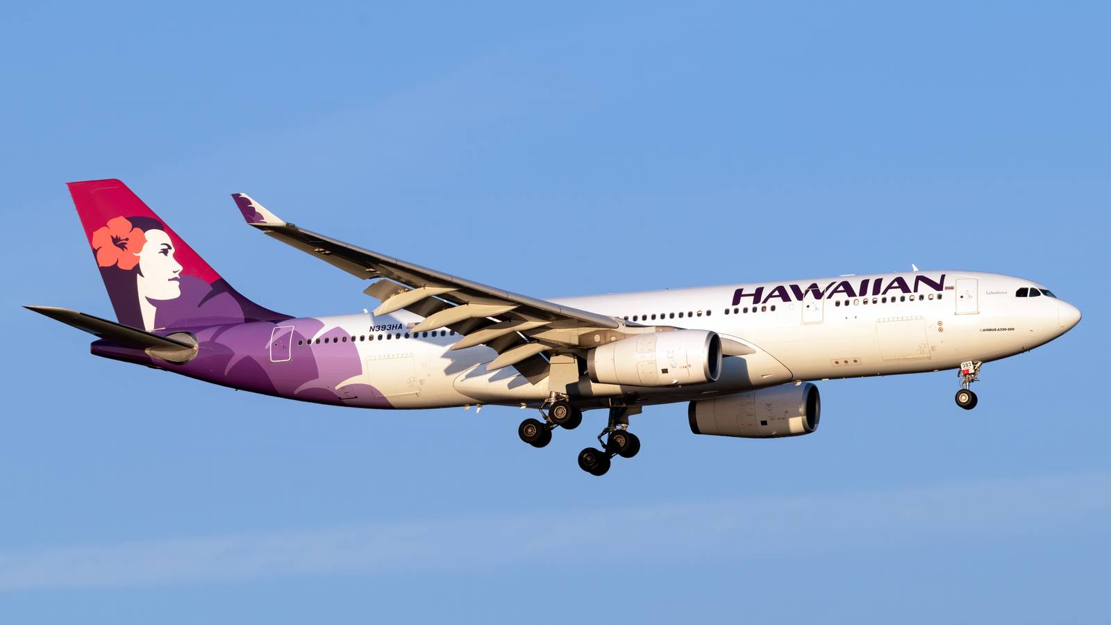 商談品‼️Hawaiian Airlines Airbus A330 1/200 商談品‼️Hawaiian Airlines Airbus A330 1/200 Pre-Order