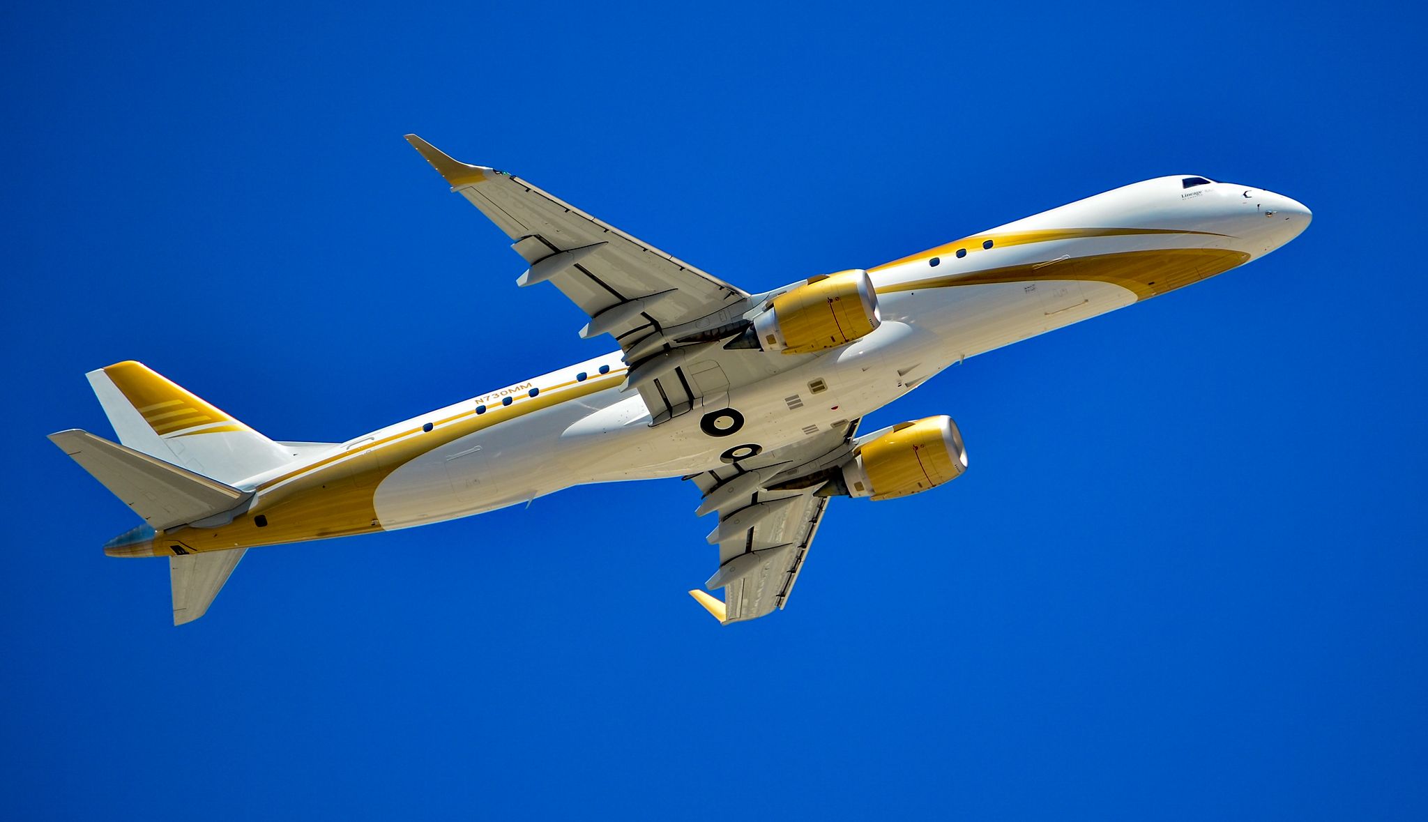 The Cost of Flying an Embraer Lineage 1000
