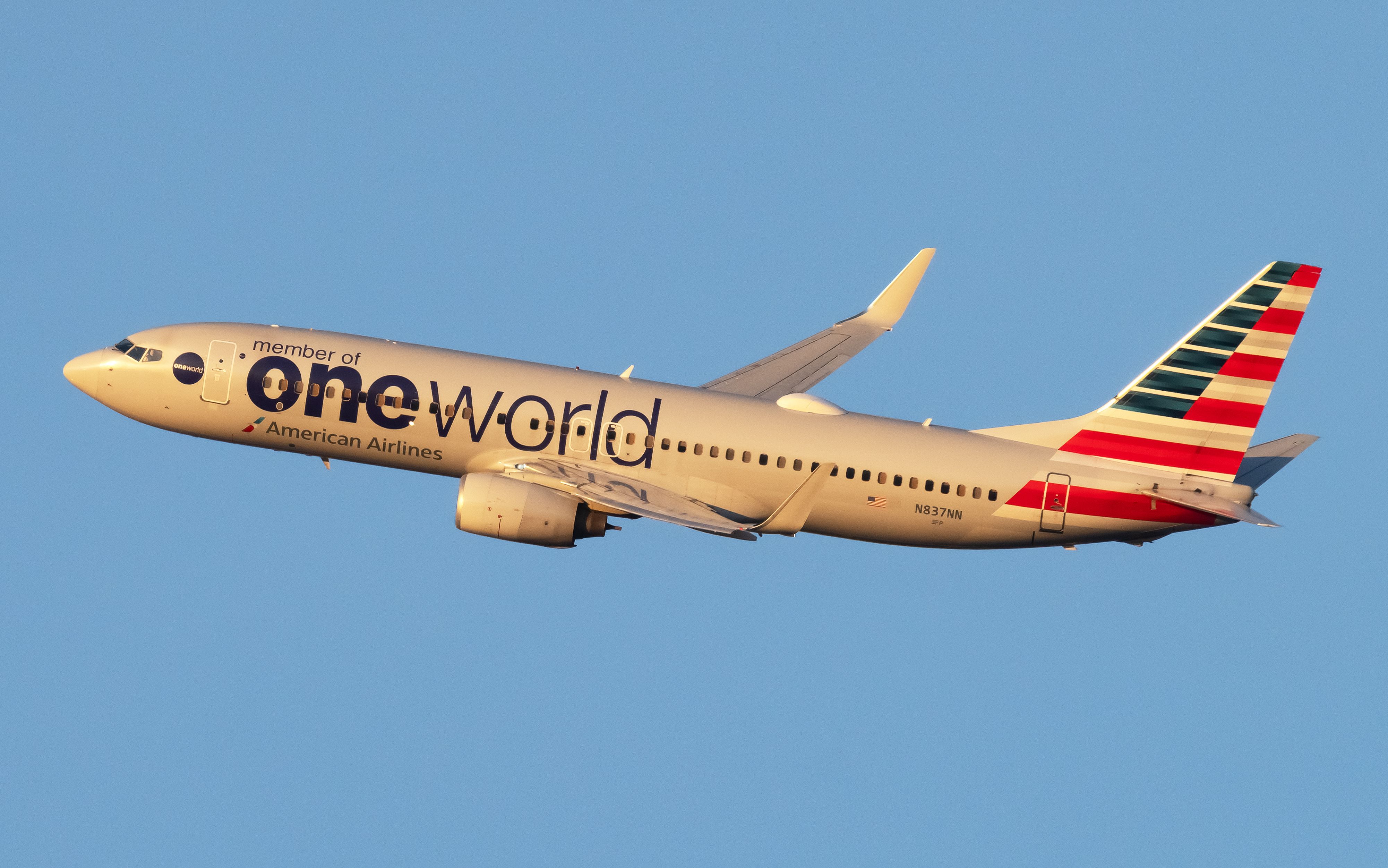 How Important Is The Boeing 737-800 At American Airlines?