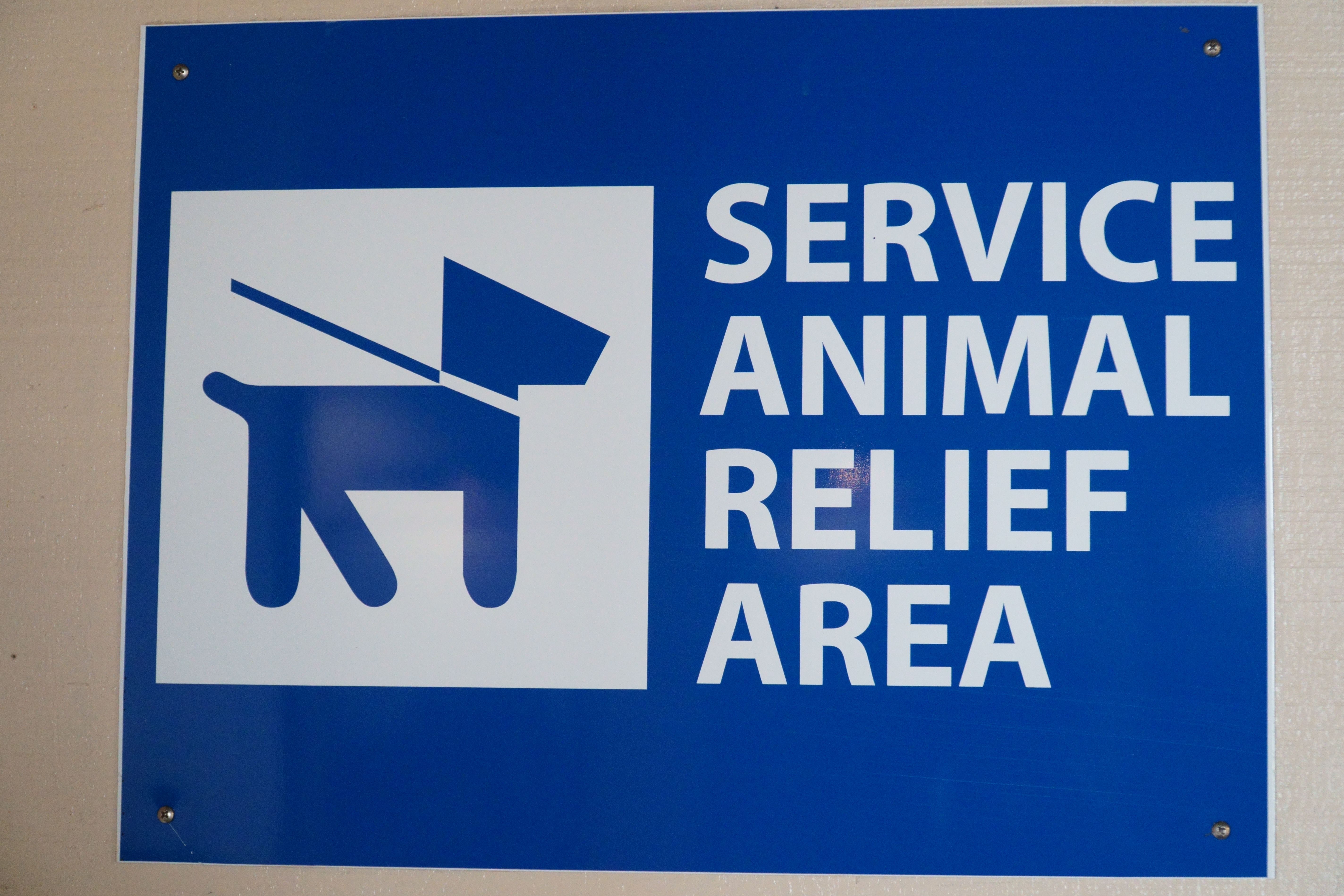 How Airports Help Blind & Low Vision Passengers Navigate Their Massive ...