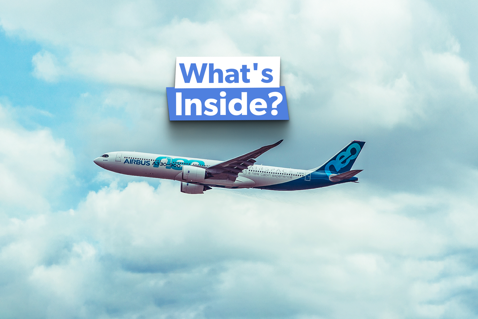 The 10 Airlines That Fly Airbus A330-900 Aircraft: Cabins Compared