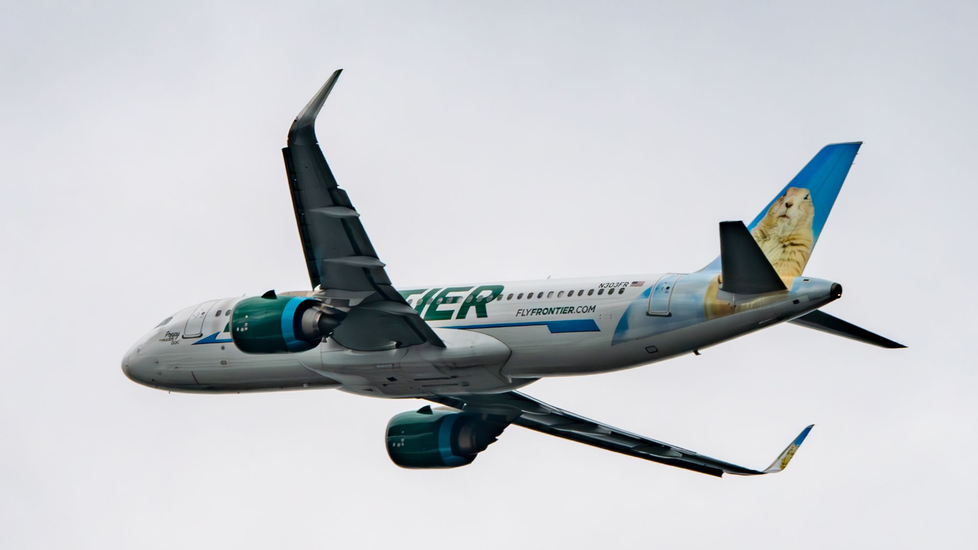 邊境A320NEO機上