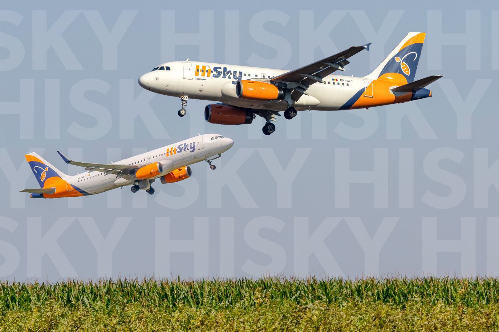 5 Things About HiSky That Might Surprise You