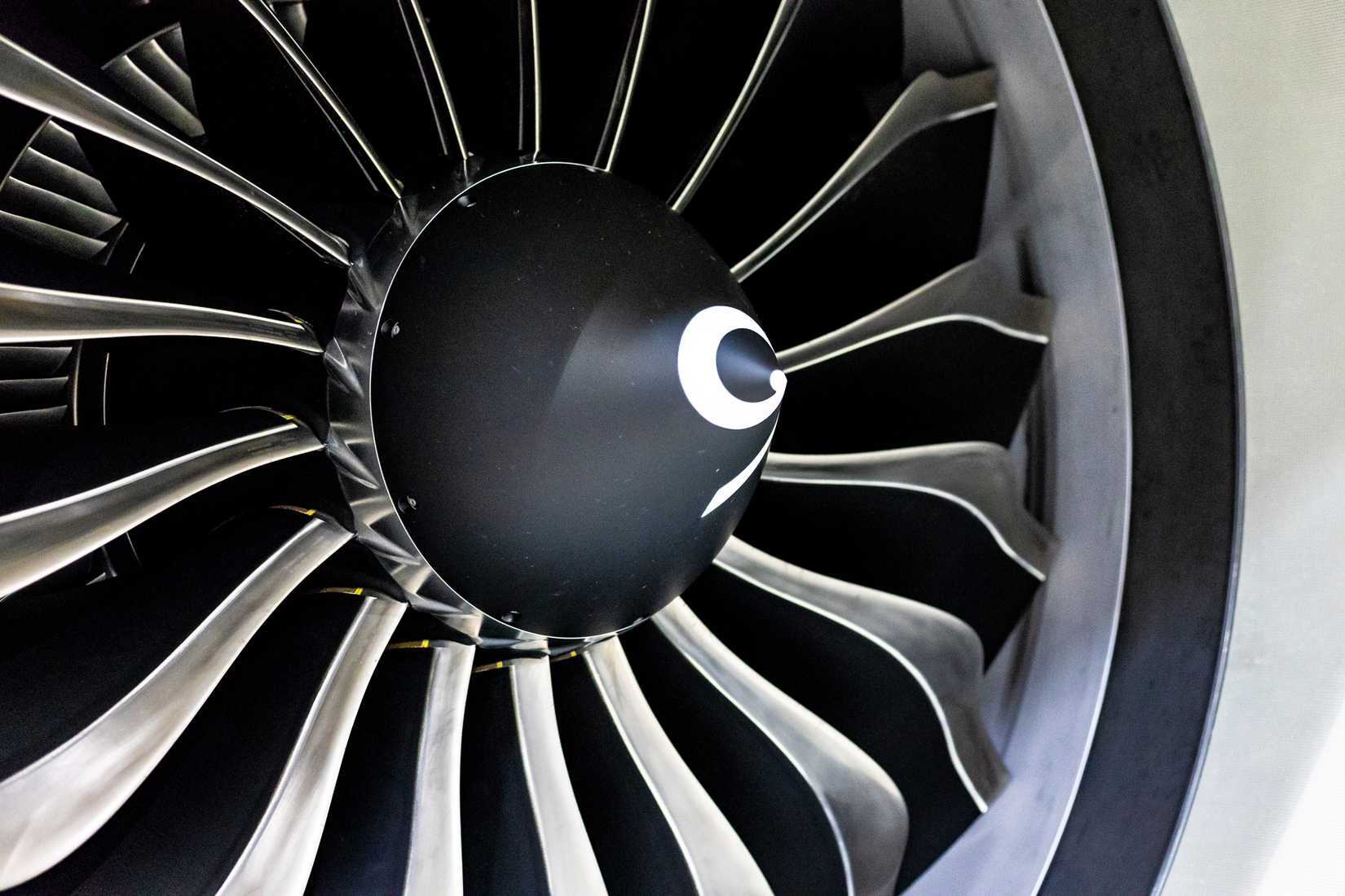 Boeing 737 MAX engine inlet fan 
