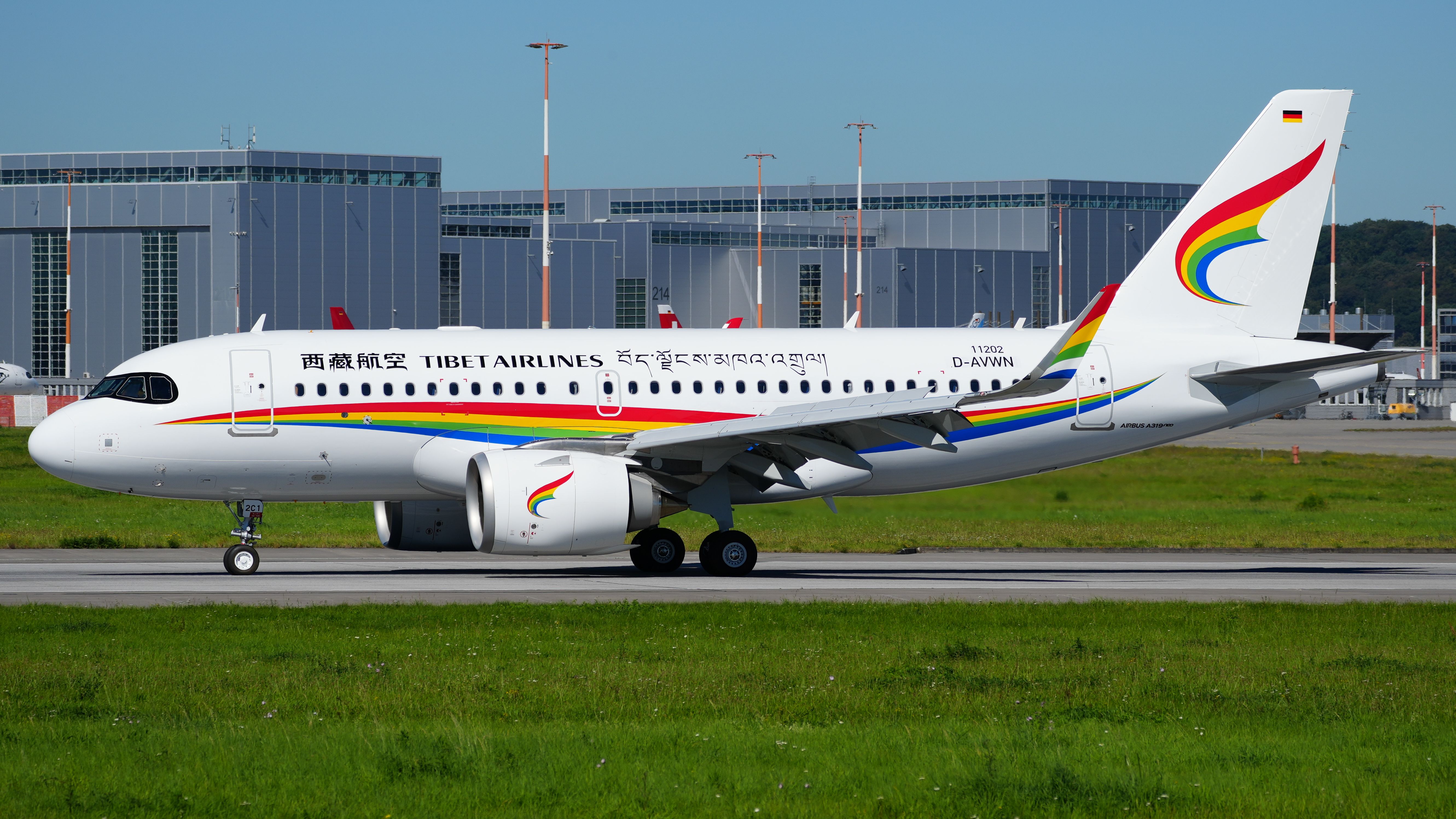 Why Isn't The Airbus A319neo More Popular?