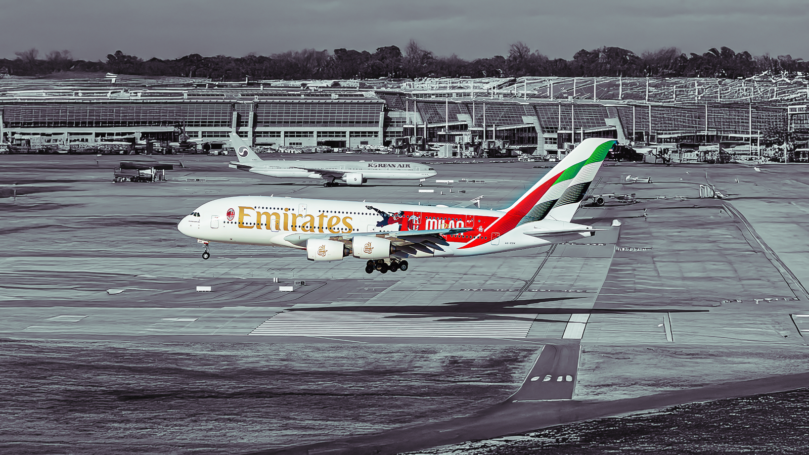 This Airline Operates The Largest Widebody Fleet In The World