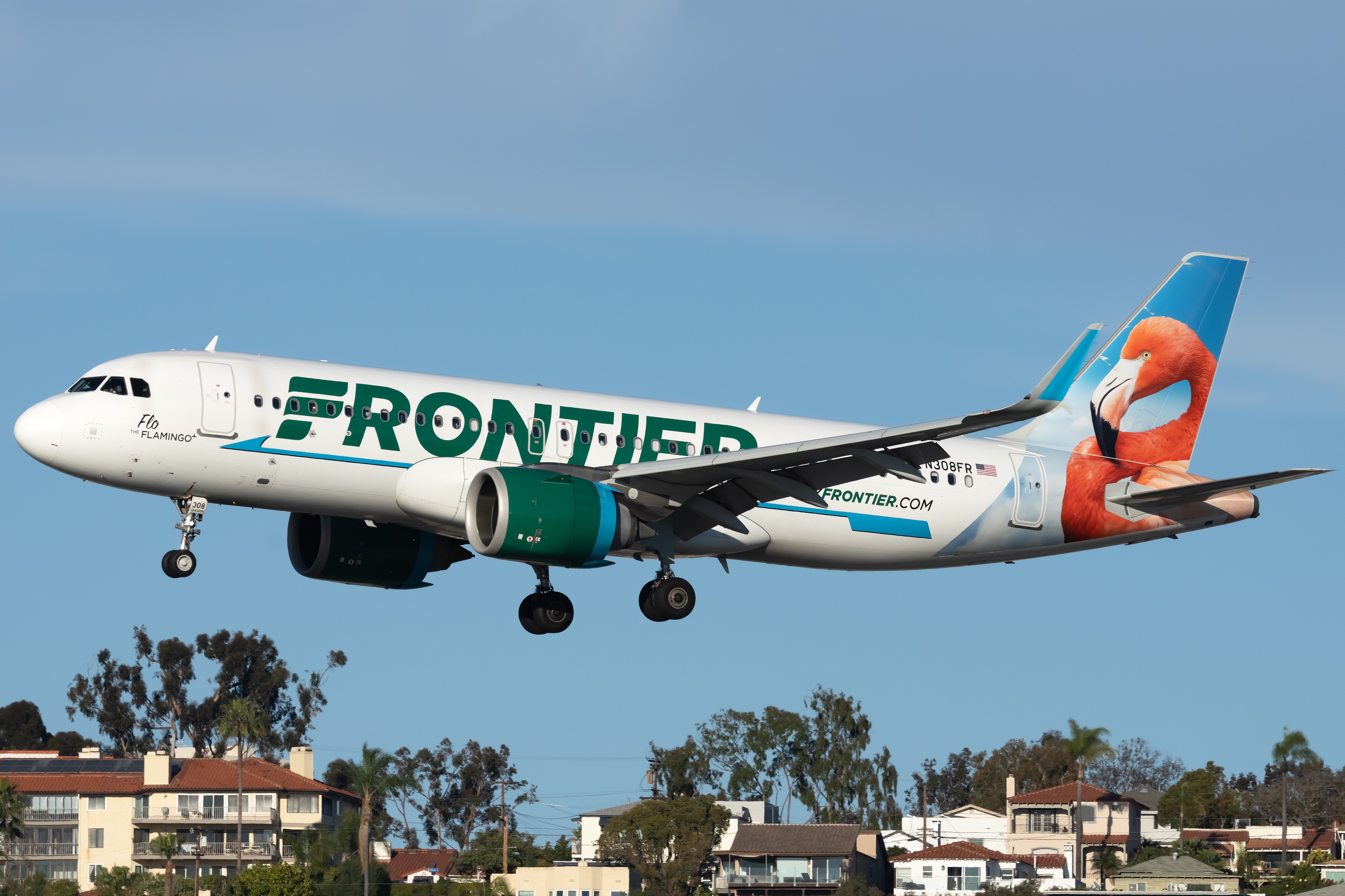 Frontier Airlines Passenger Claims They Weren't Allowed On Return Flight With Emotional Support Parrot