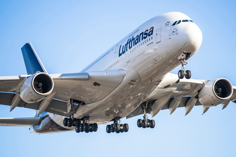 2/6 NEW!! Air.bus A380 1/150 約50cm 全日空商事 A380 ANA 全日空 FLYING HONU(フライングホヌ/ラニ