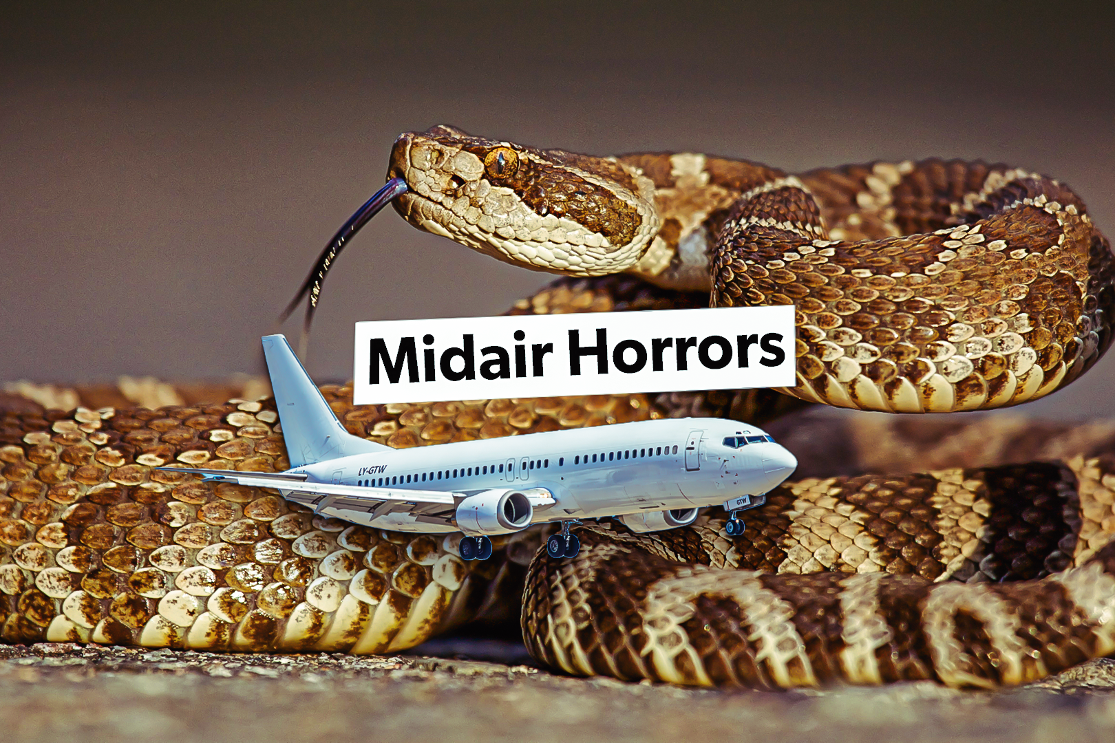 Snakes On A Plane: When Serpents Have Caused Panic Onboard