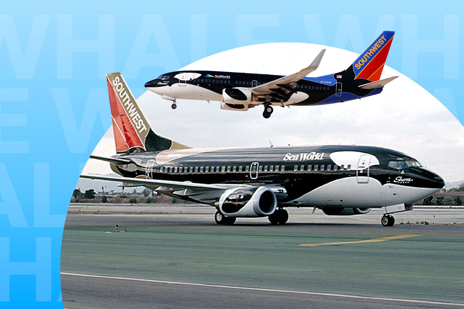 聖翔 Why In The World Did Southwest Airlines Fly 2 Boeing 737s That