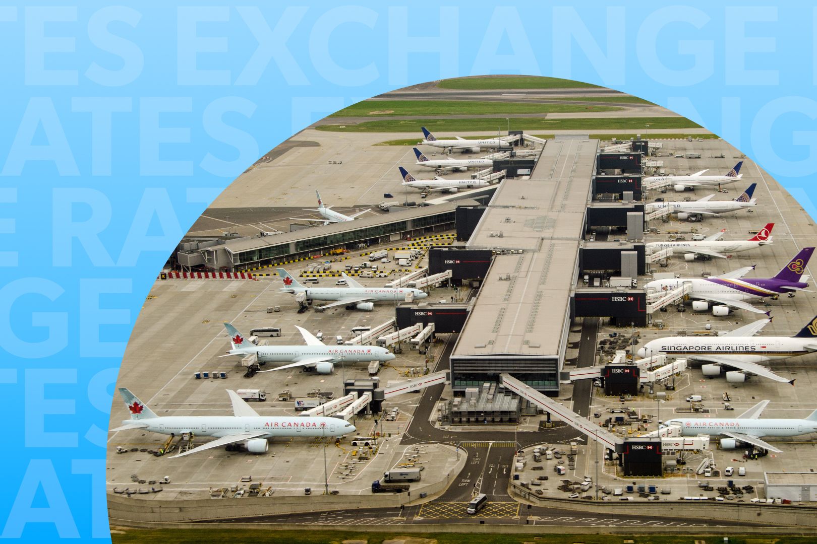 How Do Foreign Exchange Rates Impact Airline Ticket Prices & Success?