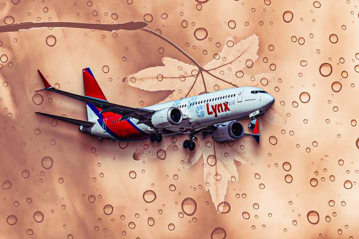 Linex Air Lynx Air | Simple Flying