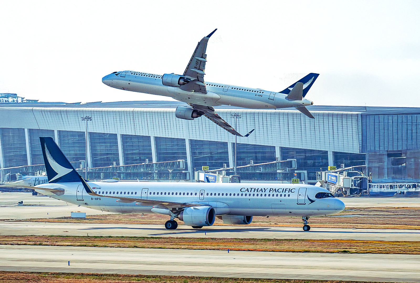 Cathay Pacific's 7 Airbus A321neo Routes With 1 Or More Daily