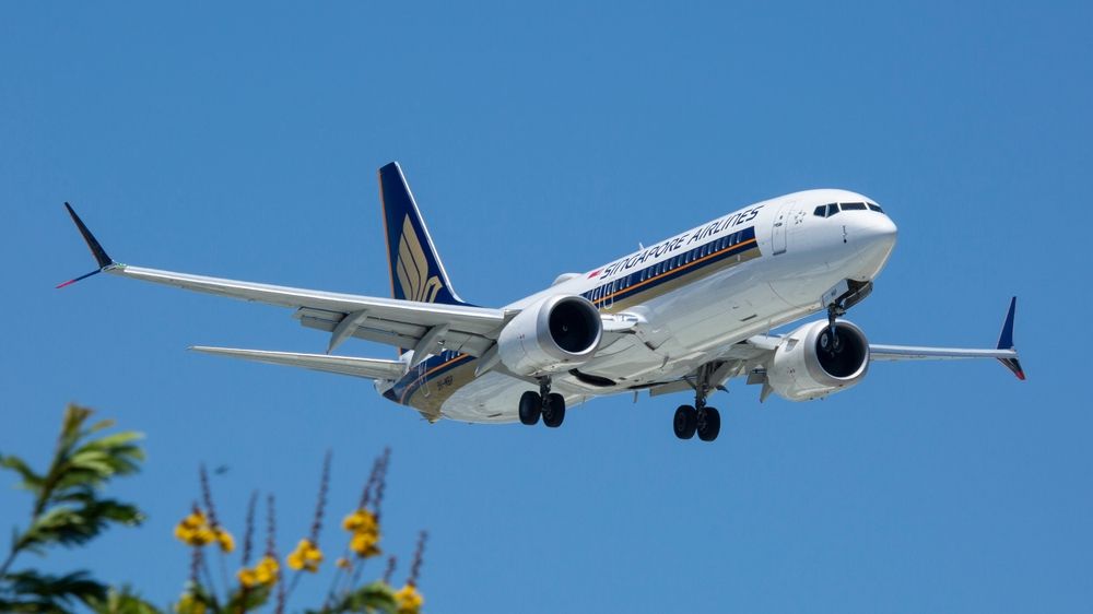 さる Singapore Airlines' 10 Longest Boeing 737 MAX 8 Routes
