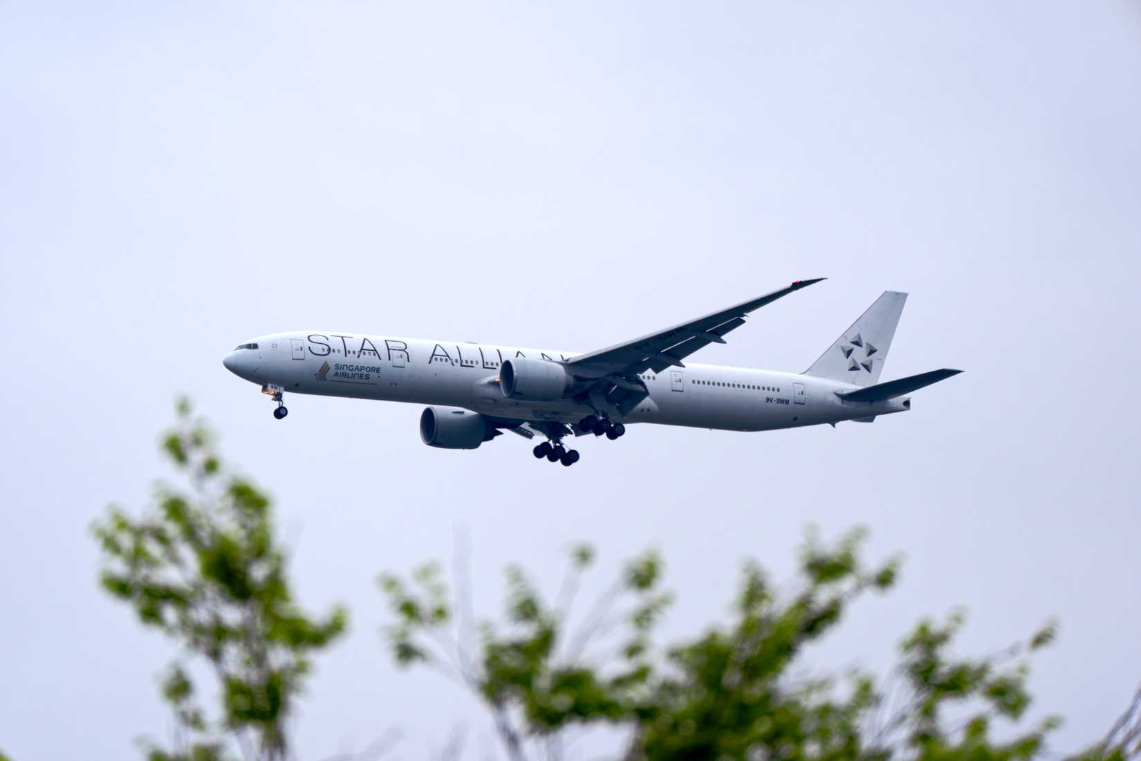 Singapore Airlines Star Alliance Boeing 777-300ER landing at Zurich Airport ZRH shutterstock_2619026721