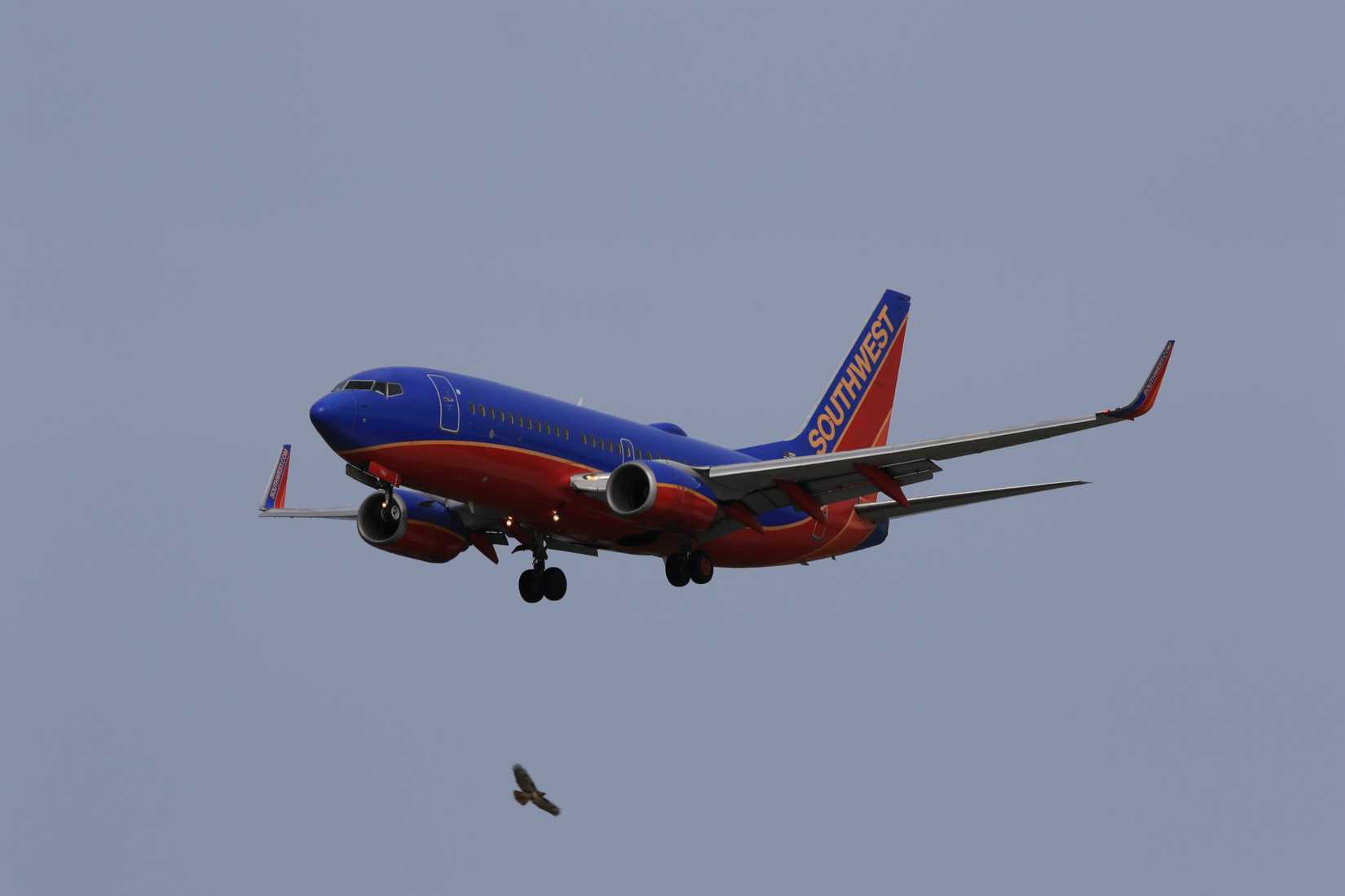 Southwest Airlines' 7 Portland Routes Ranked By Distance