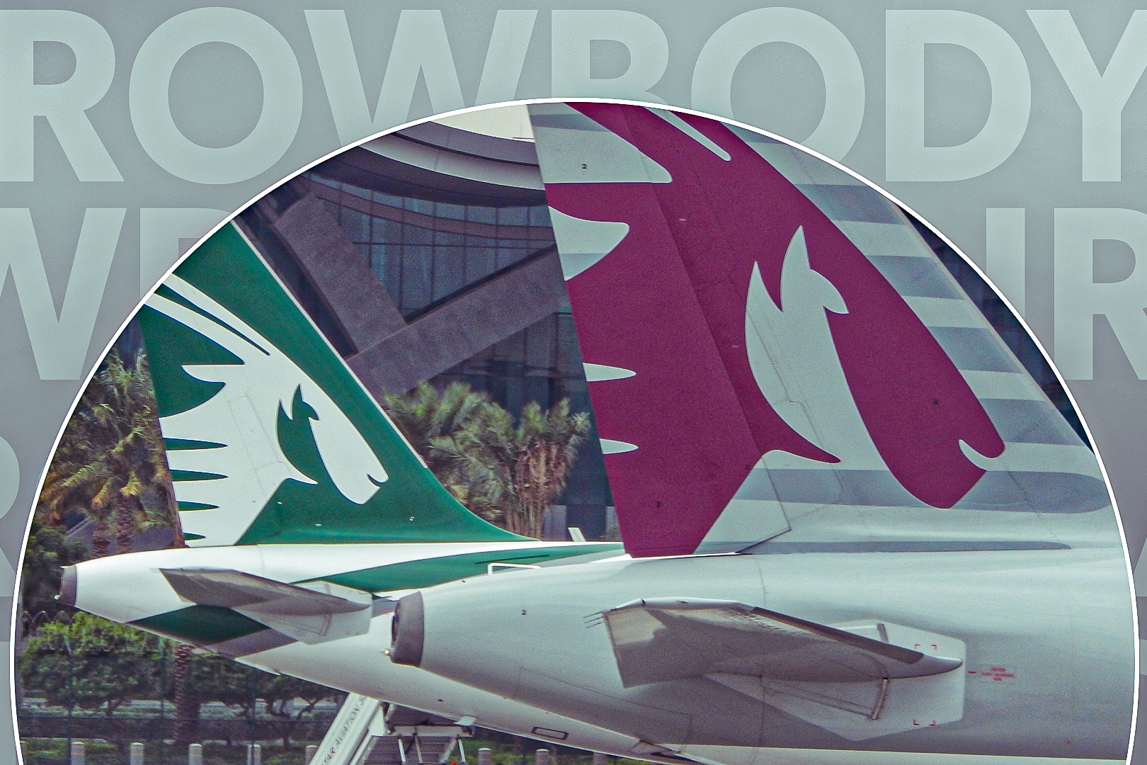 Which Narrowbody Aircraft Does Qatar Airways Fly?