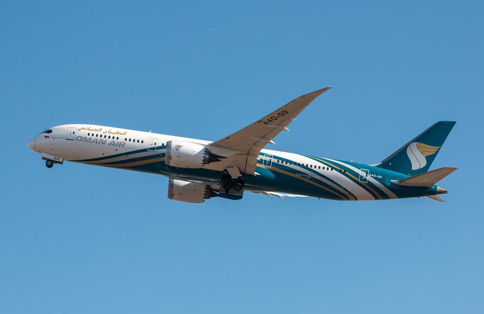 Oman Air 787 Inflight