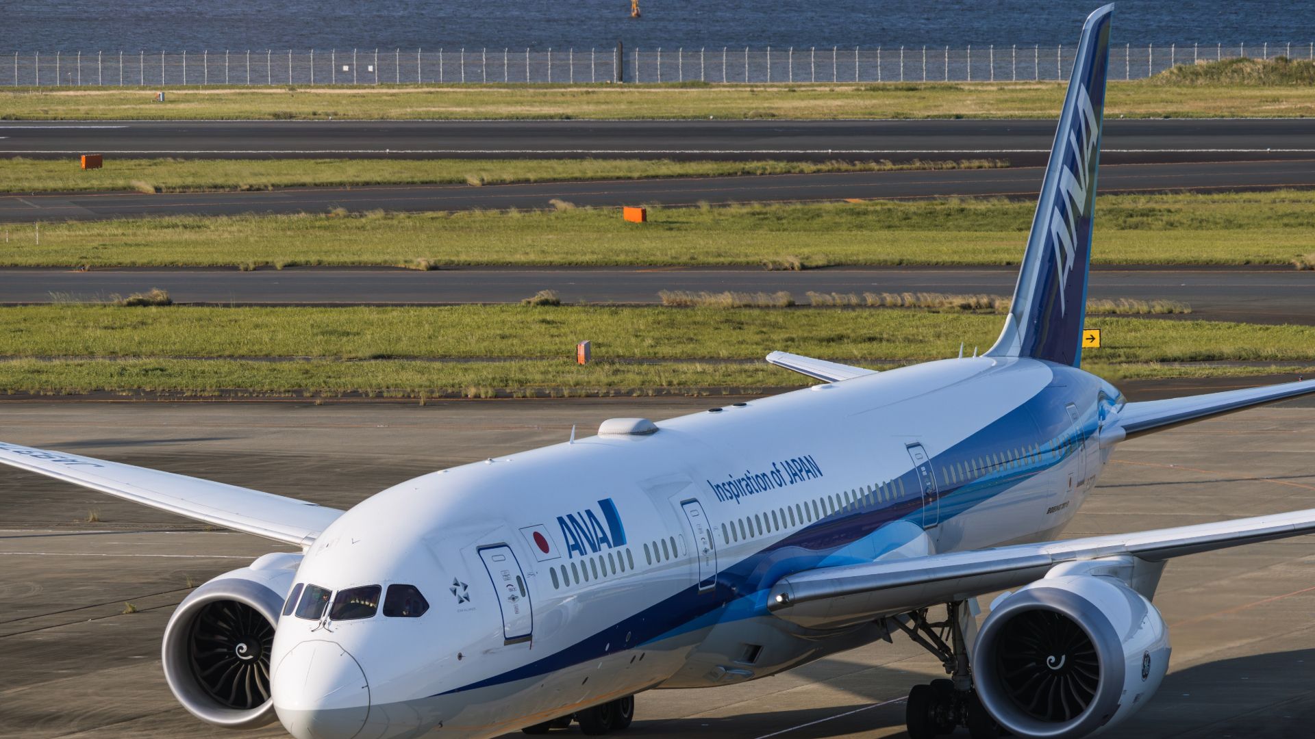 ANA・BOEING-787 ANA B788 at San Jose on Mar 26th 2017, flock of birds